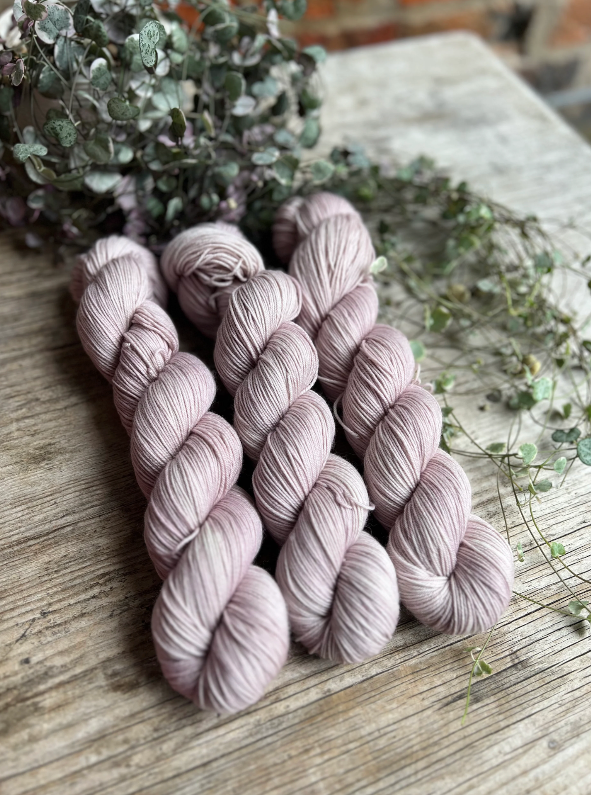 Dyed to order - Candytuft Umbellata