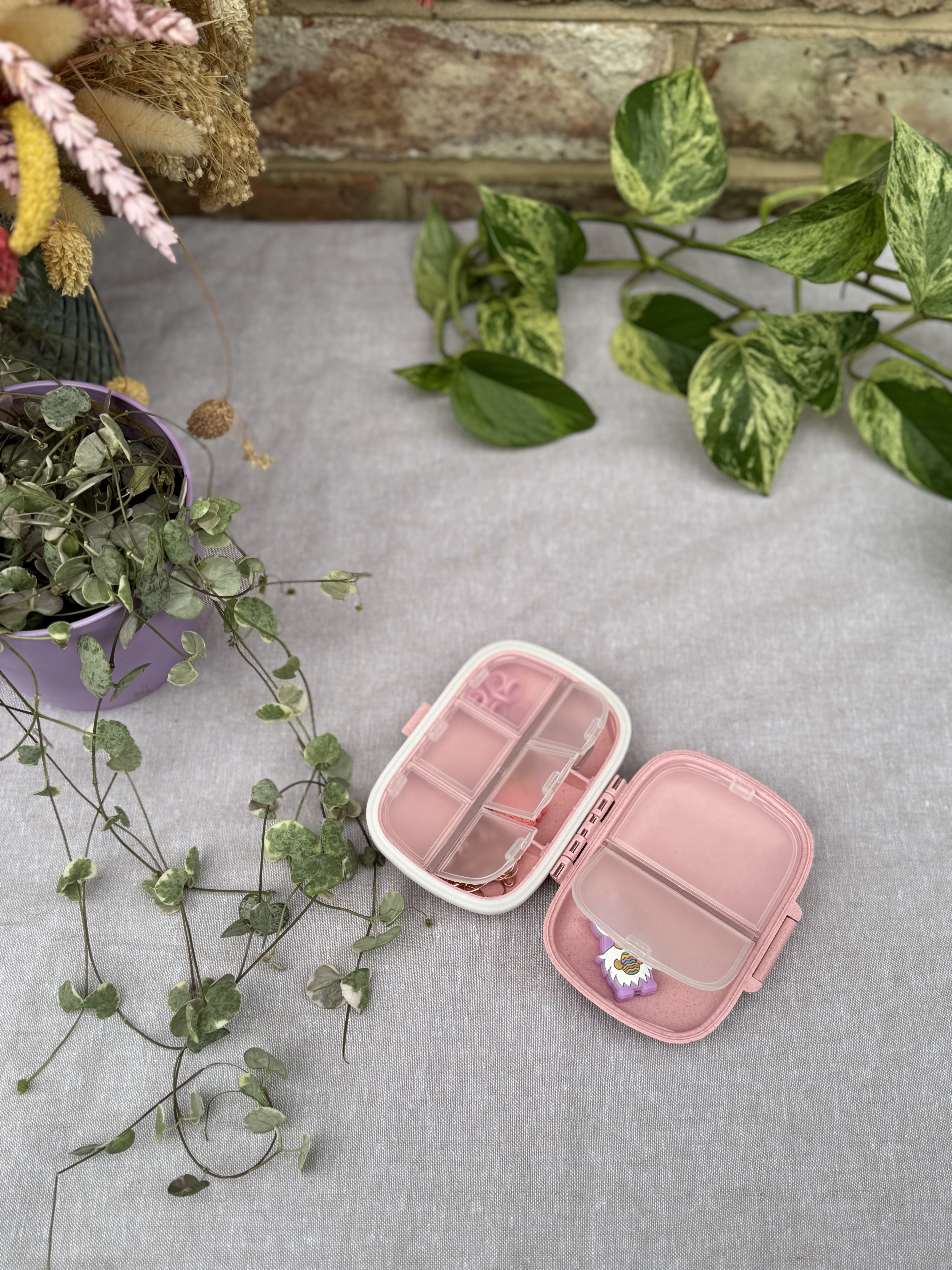 Notions case storage