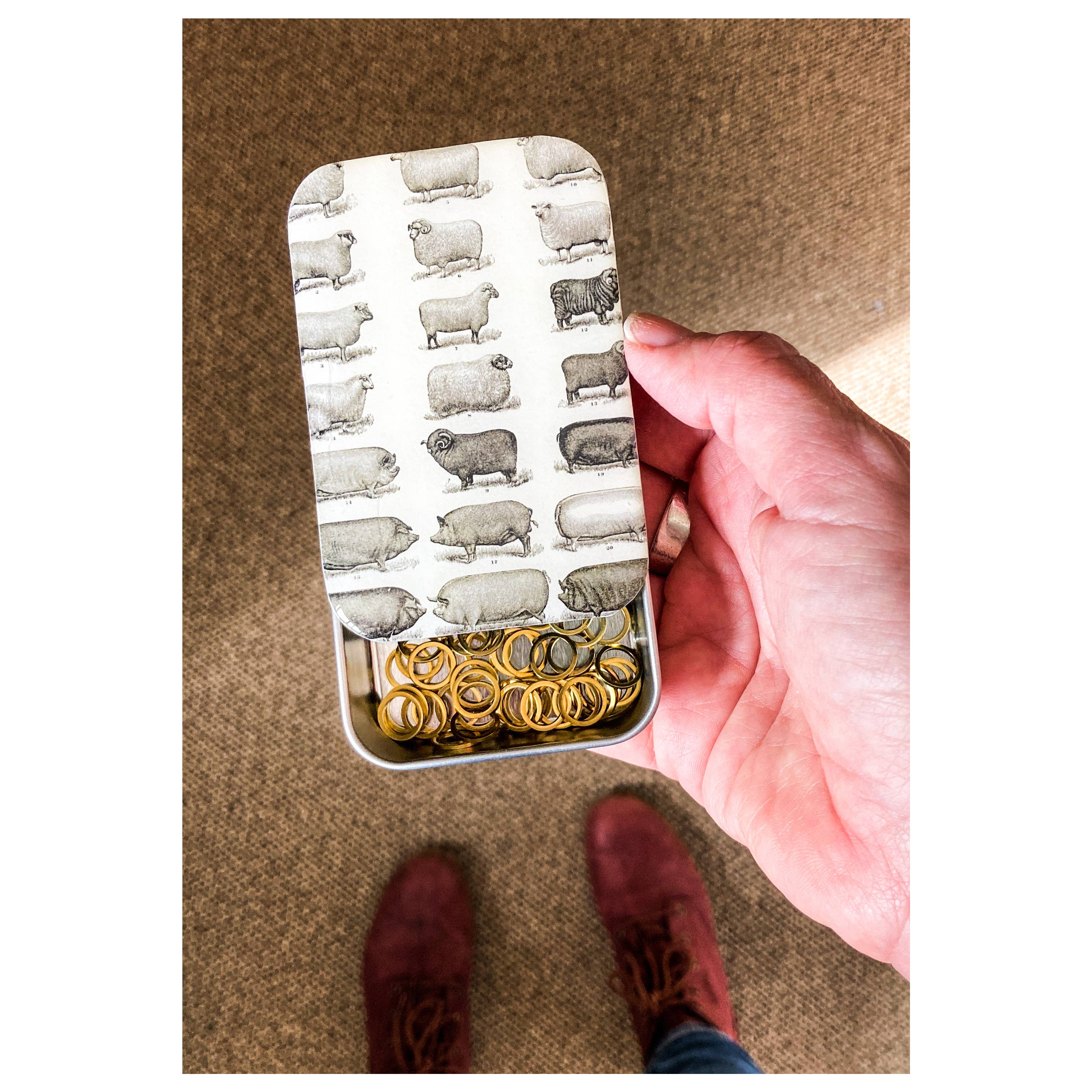 Sheep and Pigs notions tin