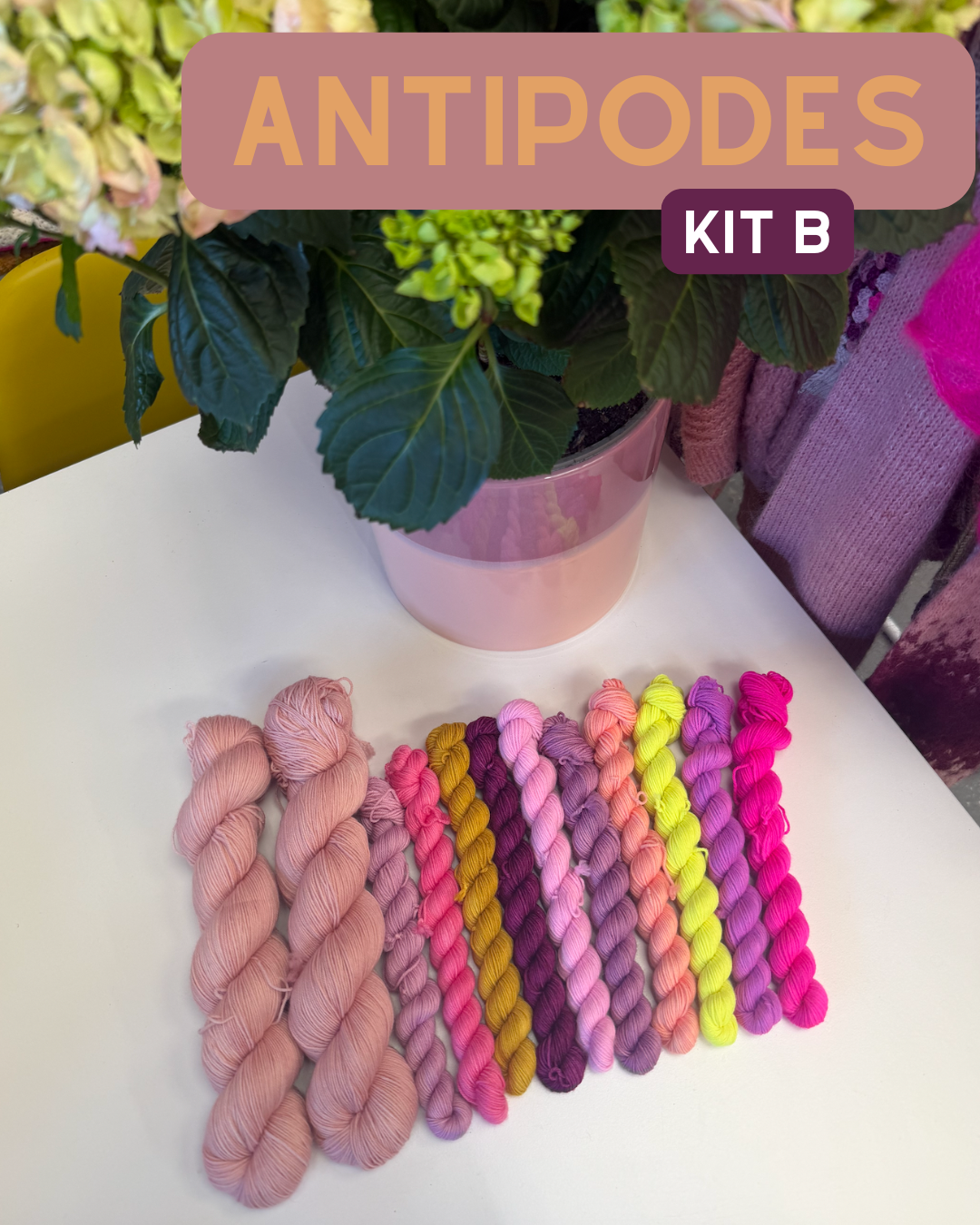 Antipodes Rhinebeck 2026 Sweater Kit by Andrea Mowry - Superwash Merino Kit