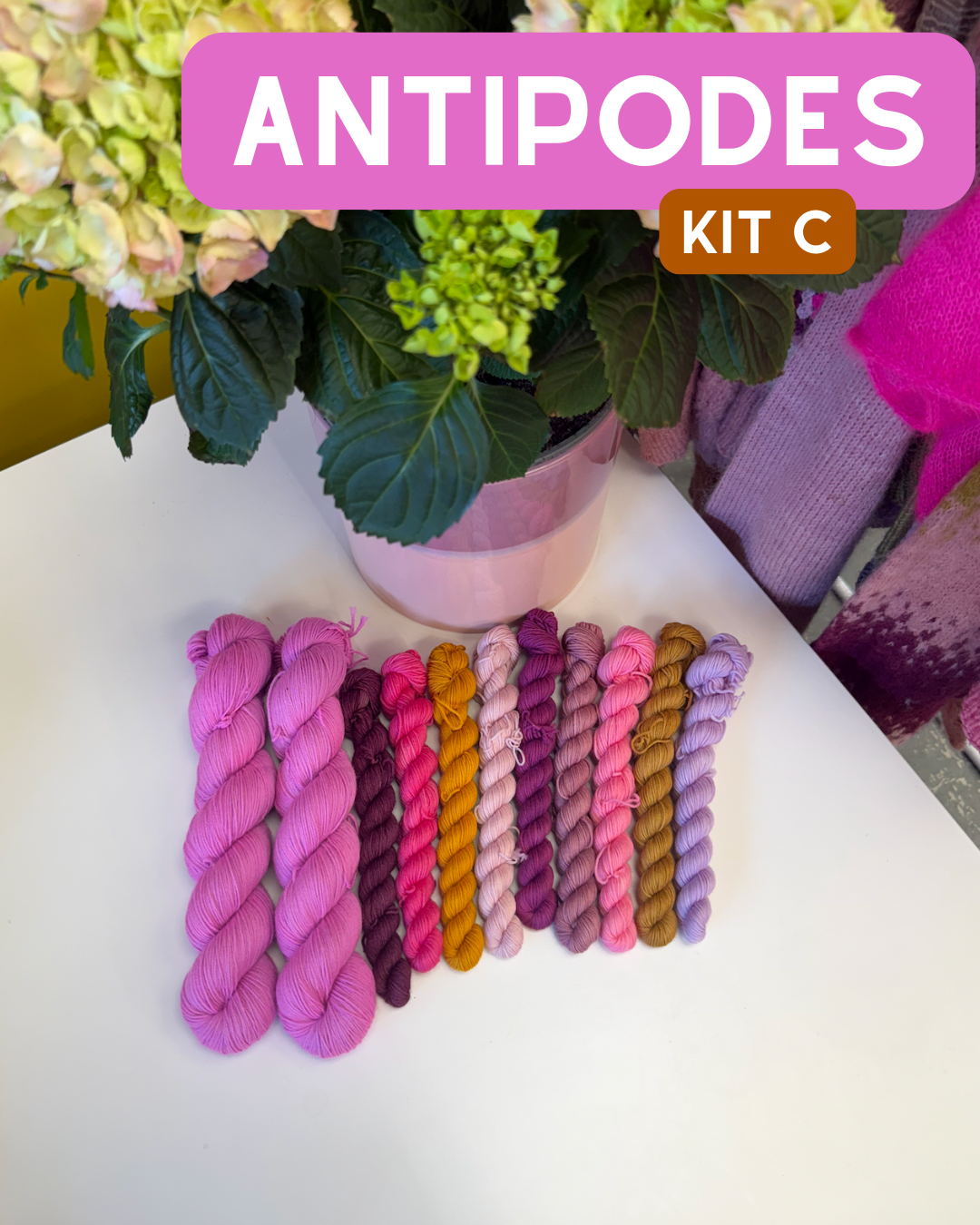 Antipodes Rhinebeck 2026 Sweater Kit by Andrea Mowry - Superwash Merino Kit