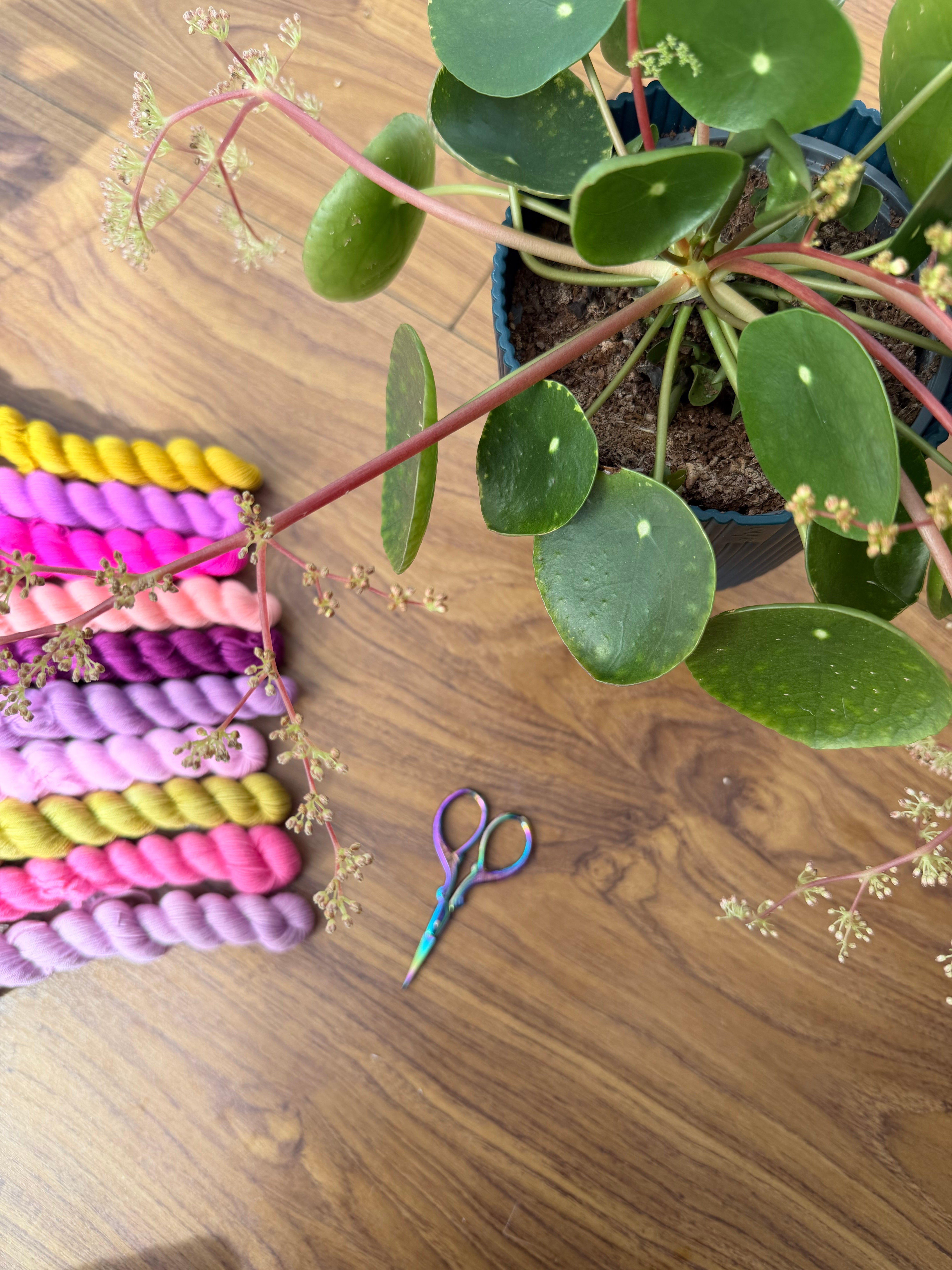 Show your Colours Tee Kit by Sari Nordlund #FlockAlong2026