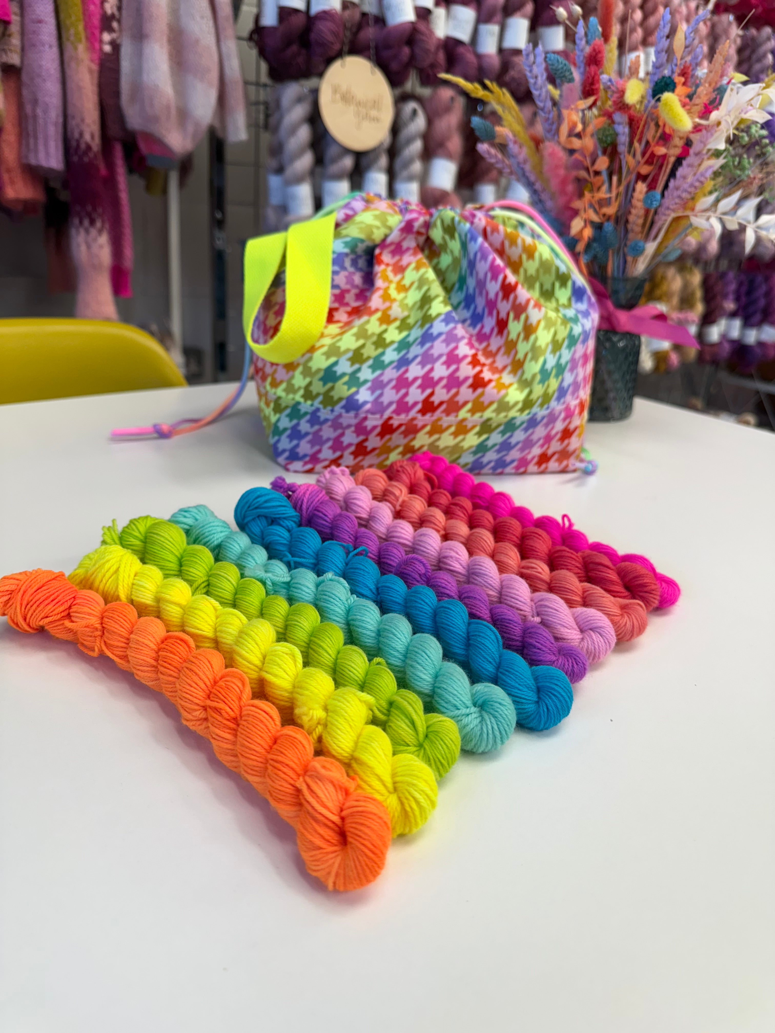 Ready to ship - The Big Flock Neon 10 x 20g Mini Skein Set