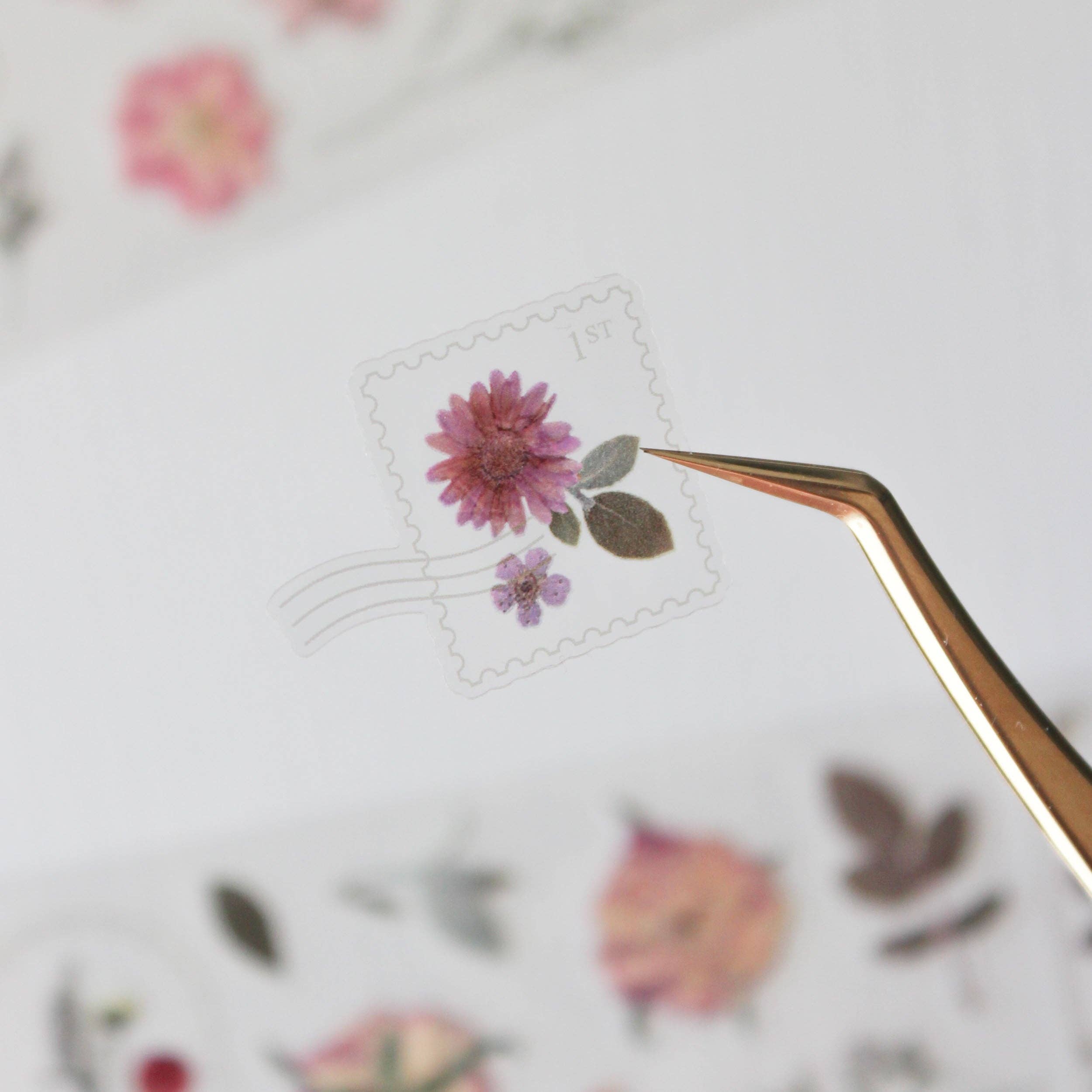 Pressed Petals Pre-cut PET Tape - Pressed Flowers Wide Tape