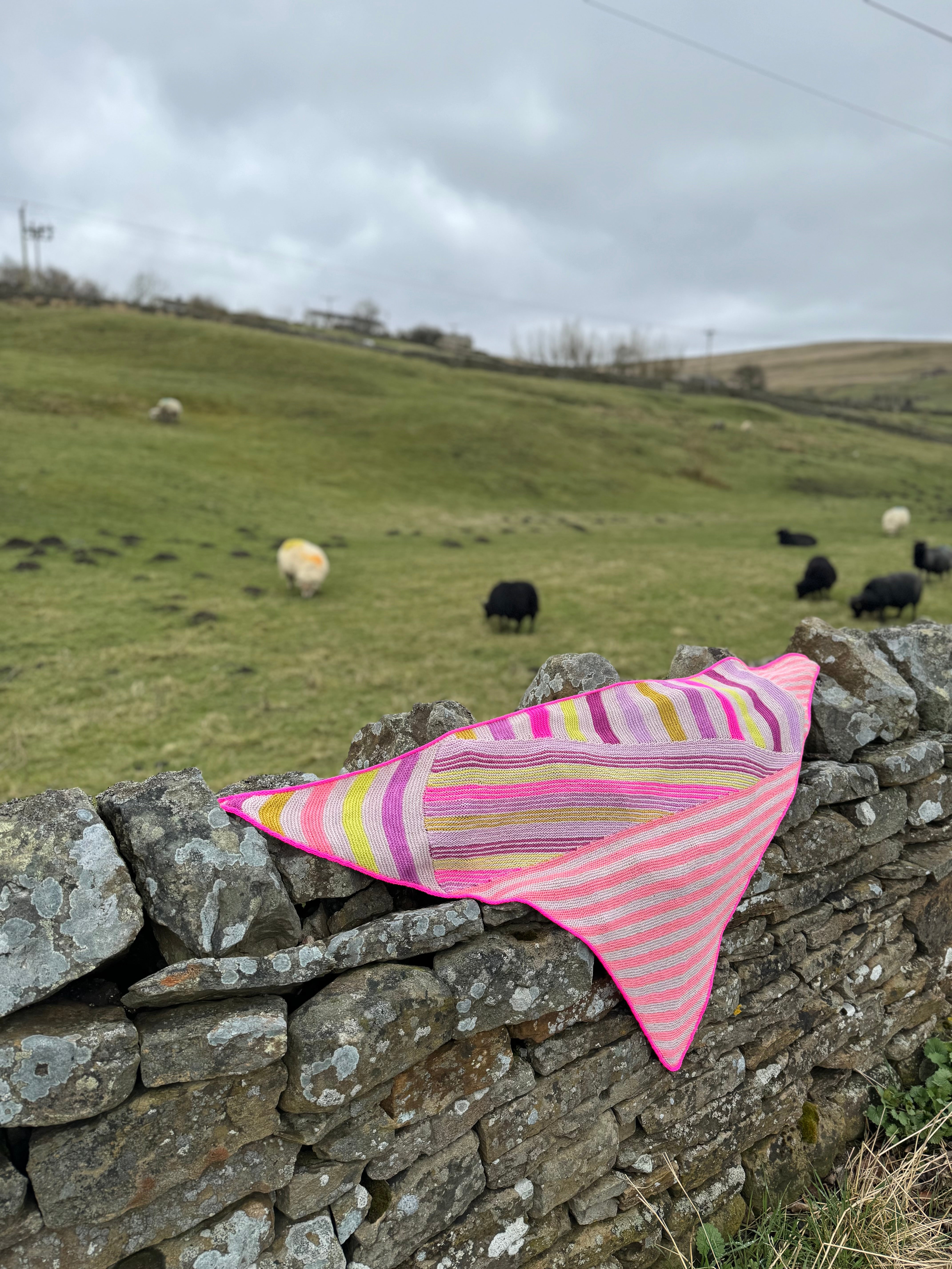 Stripeometry Shawl kit by Stephen West