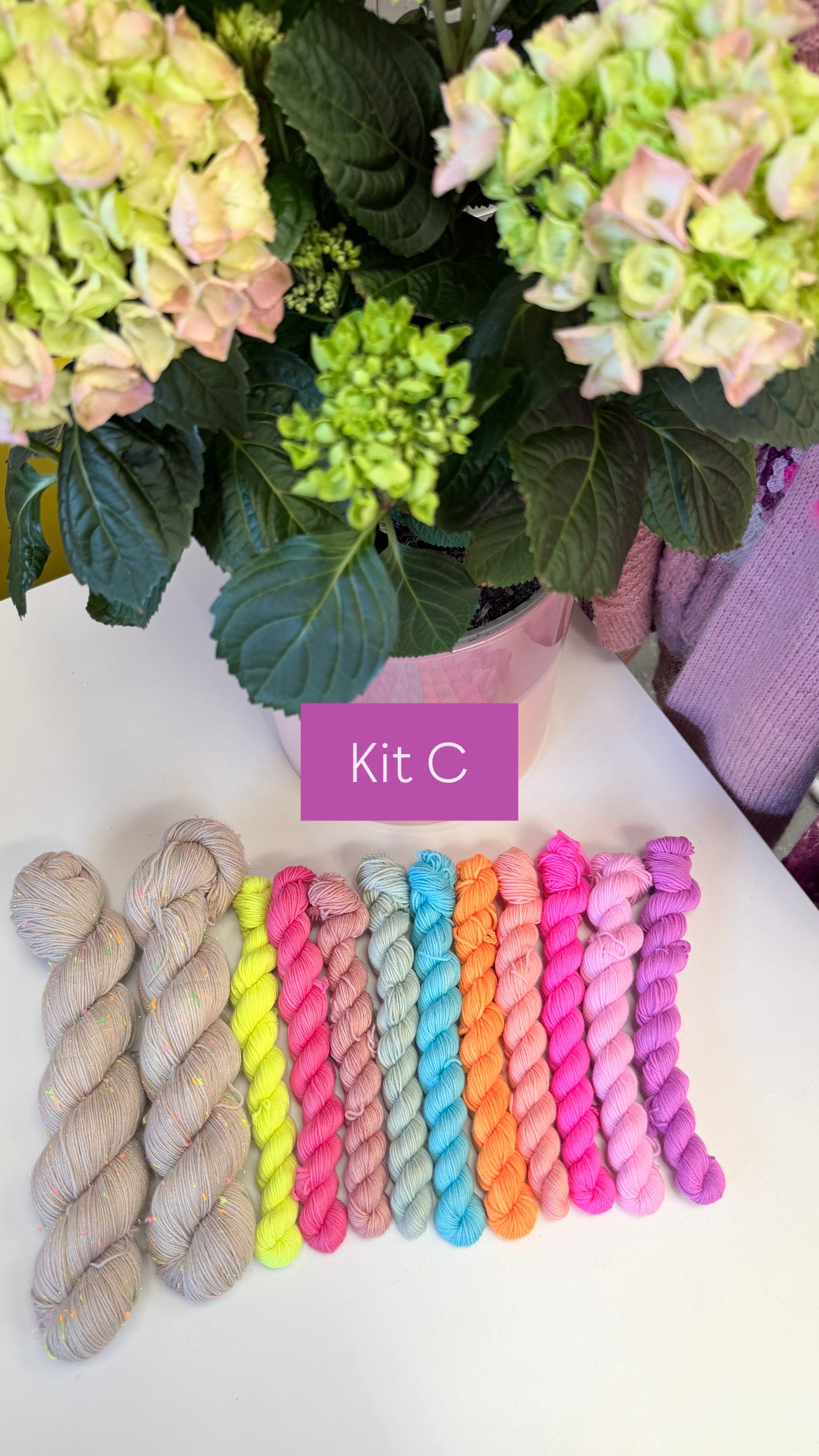 Show your Colours Tee Kit by Sari Nordlund #FlockAlong2026
