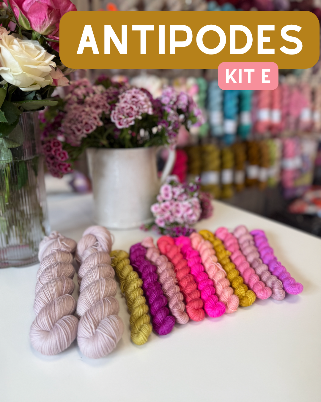 Antipodes Rhinebeck 2026 Sweater Kit by Andrea Mowry - Superwash Merino Kit