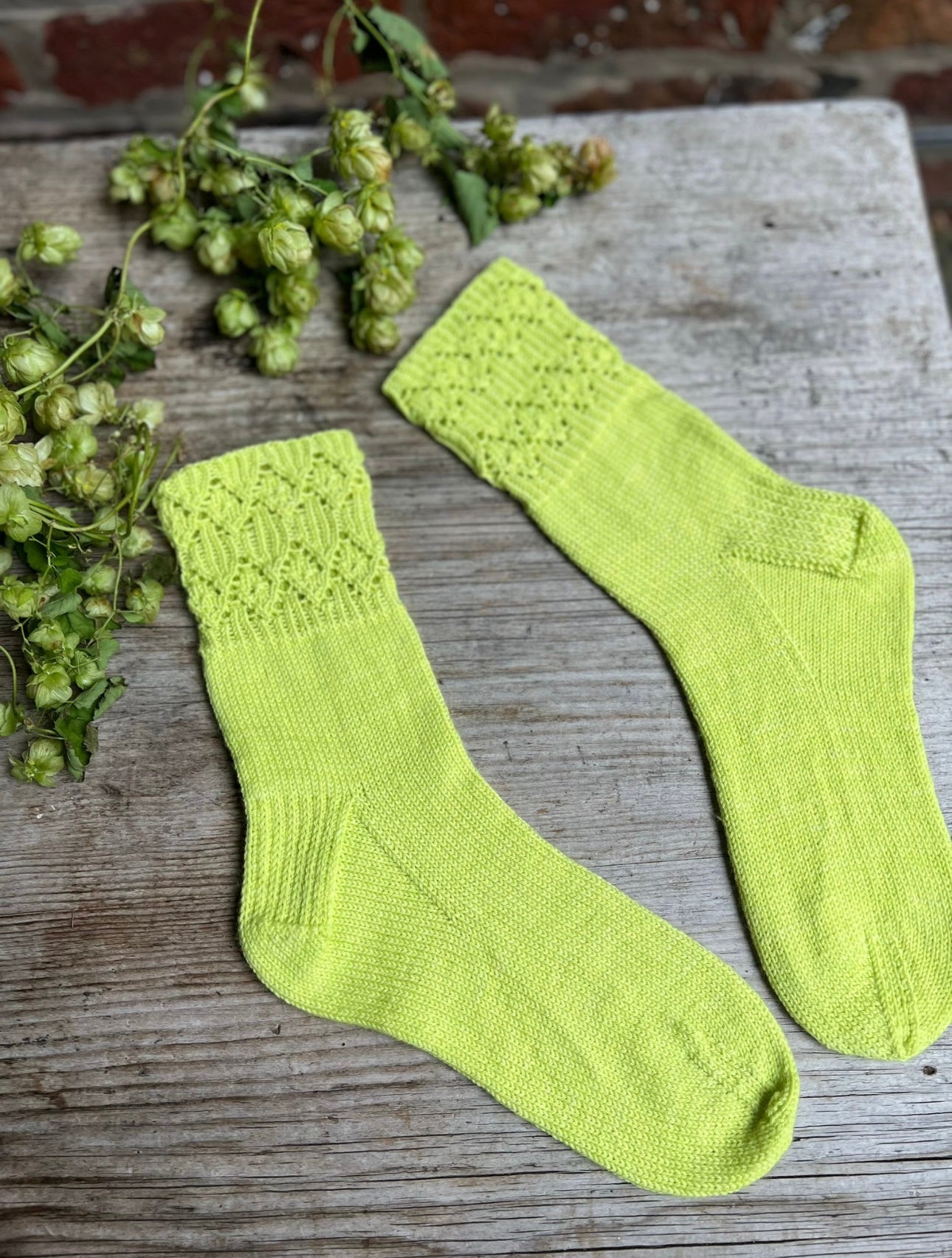 1 Month Botanical Yarn + Twinset & Purl Sock Club - October 2023 - STAR MIST SOCKS
