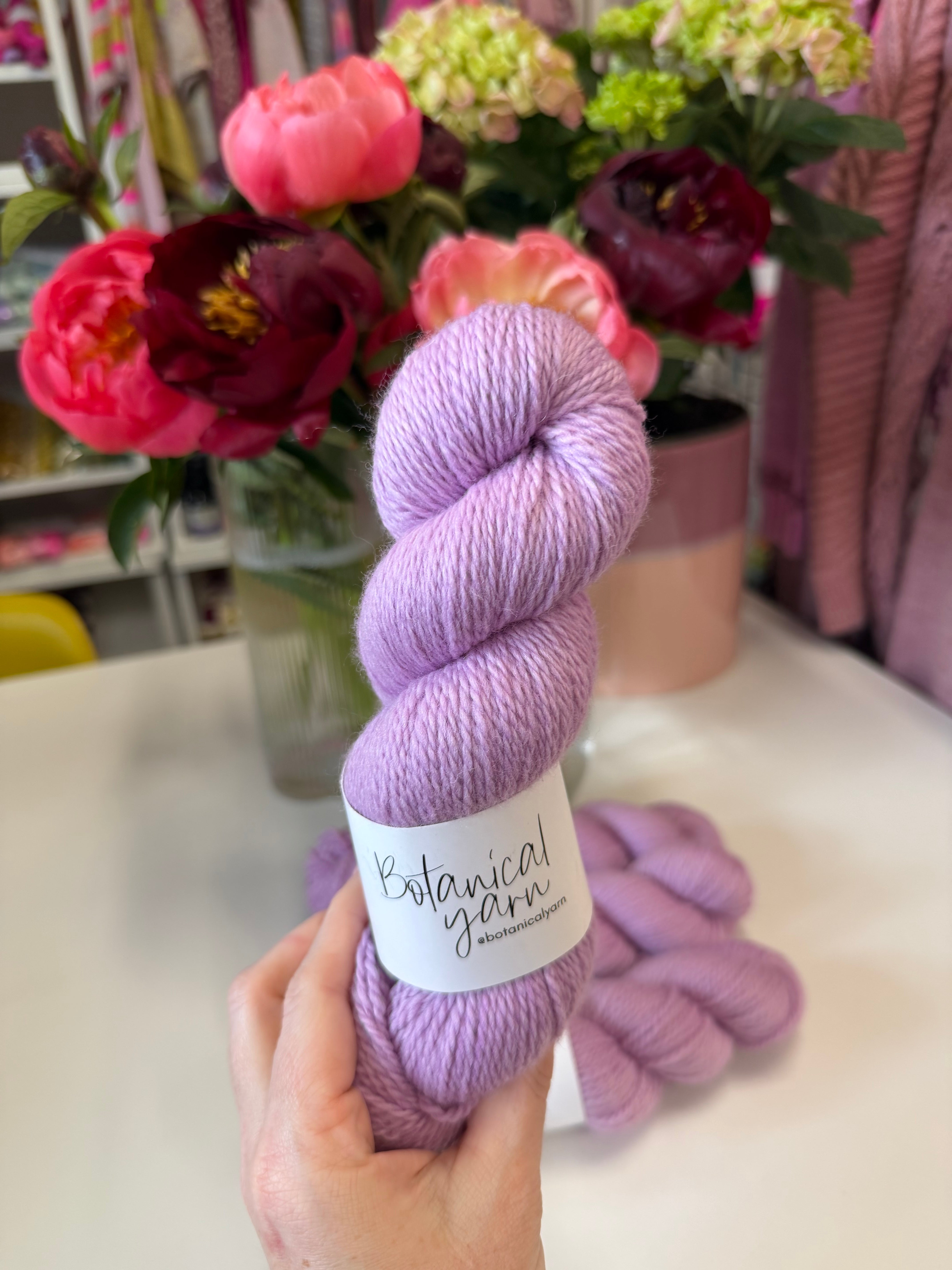 READY TO SHIP - 4 x 100g NSW DK Merino Allium