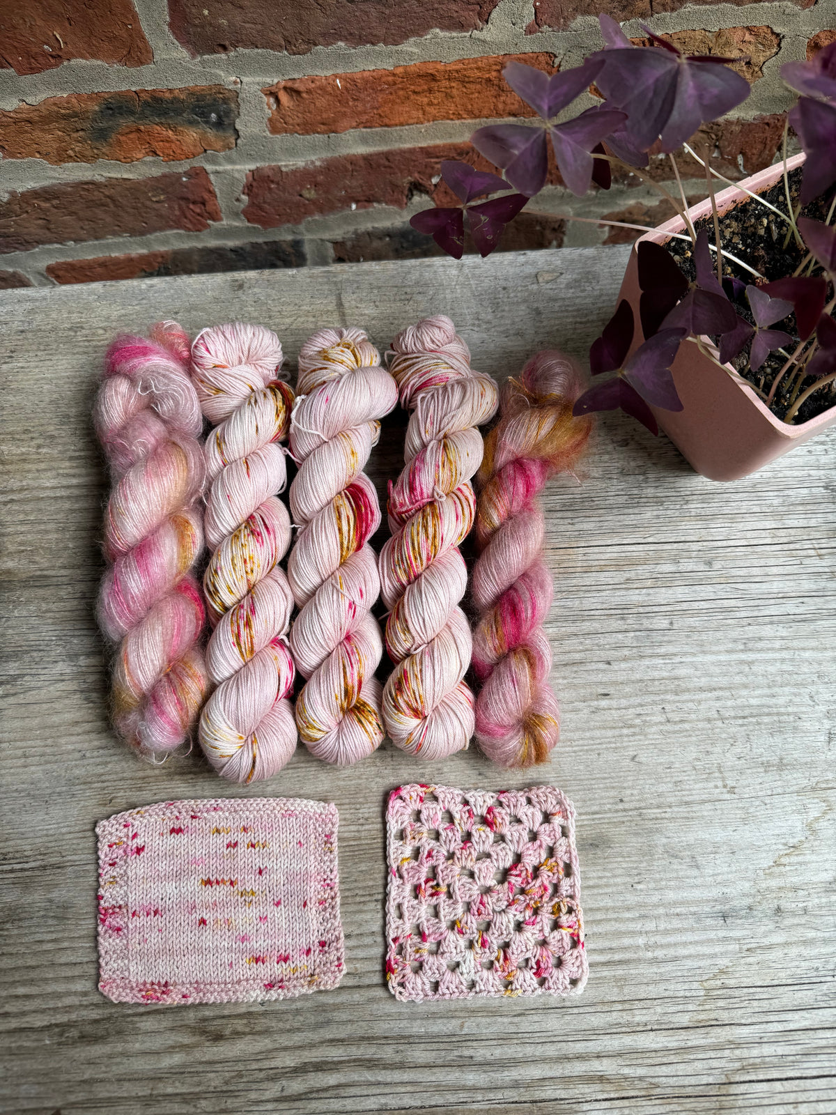 Dyed to order Fiber Flock Festival exclusive colourway botanical yarn