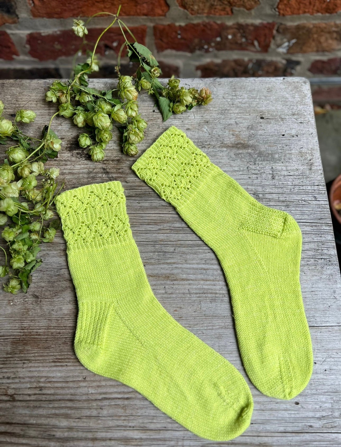 1 Month Botanical Yarn + Twinset & Purl Sock Club - October 2023 - STAR MIST SOCKS