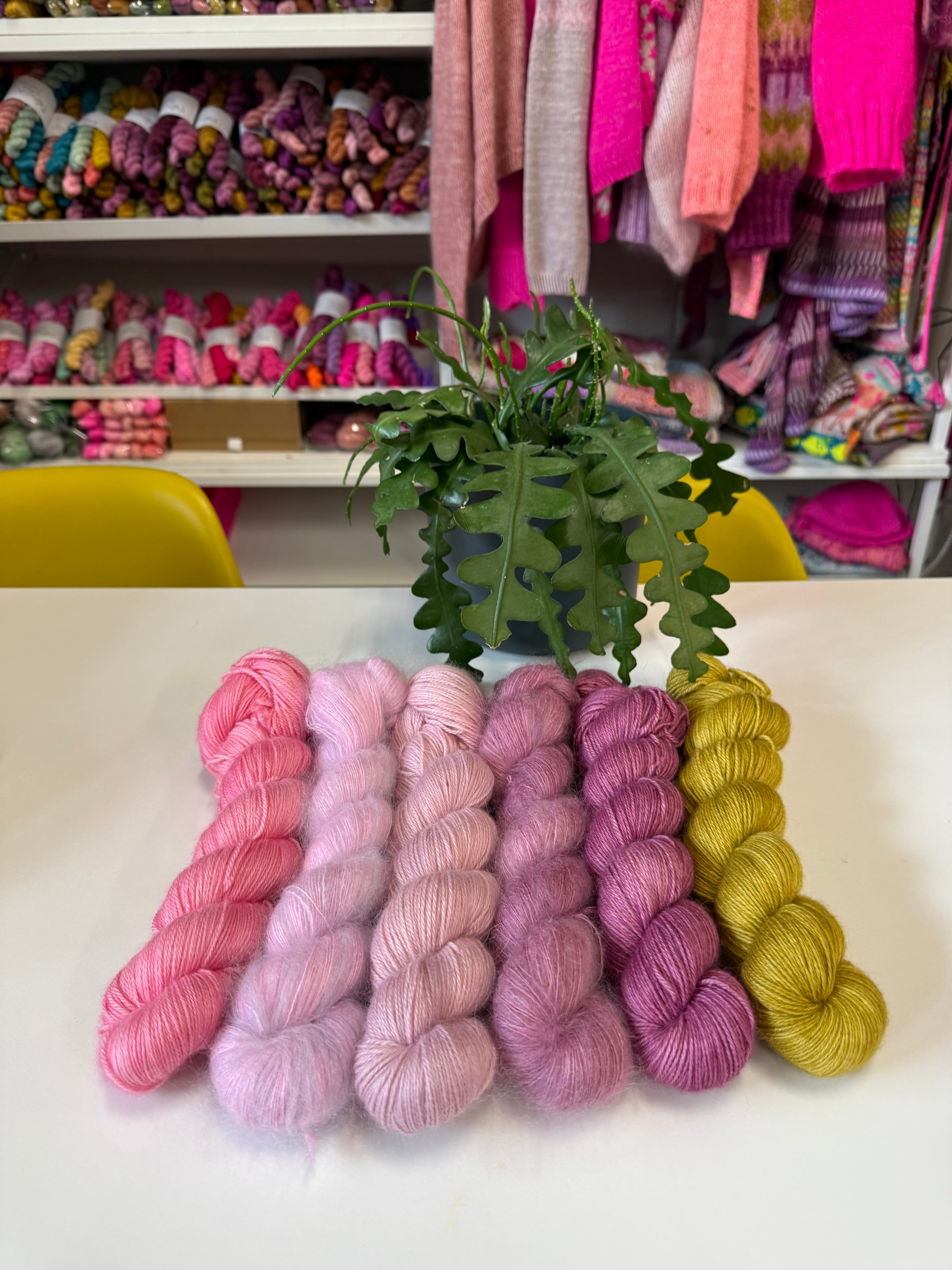 Sophie’s colours for West Knits MusiKAL