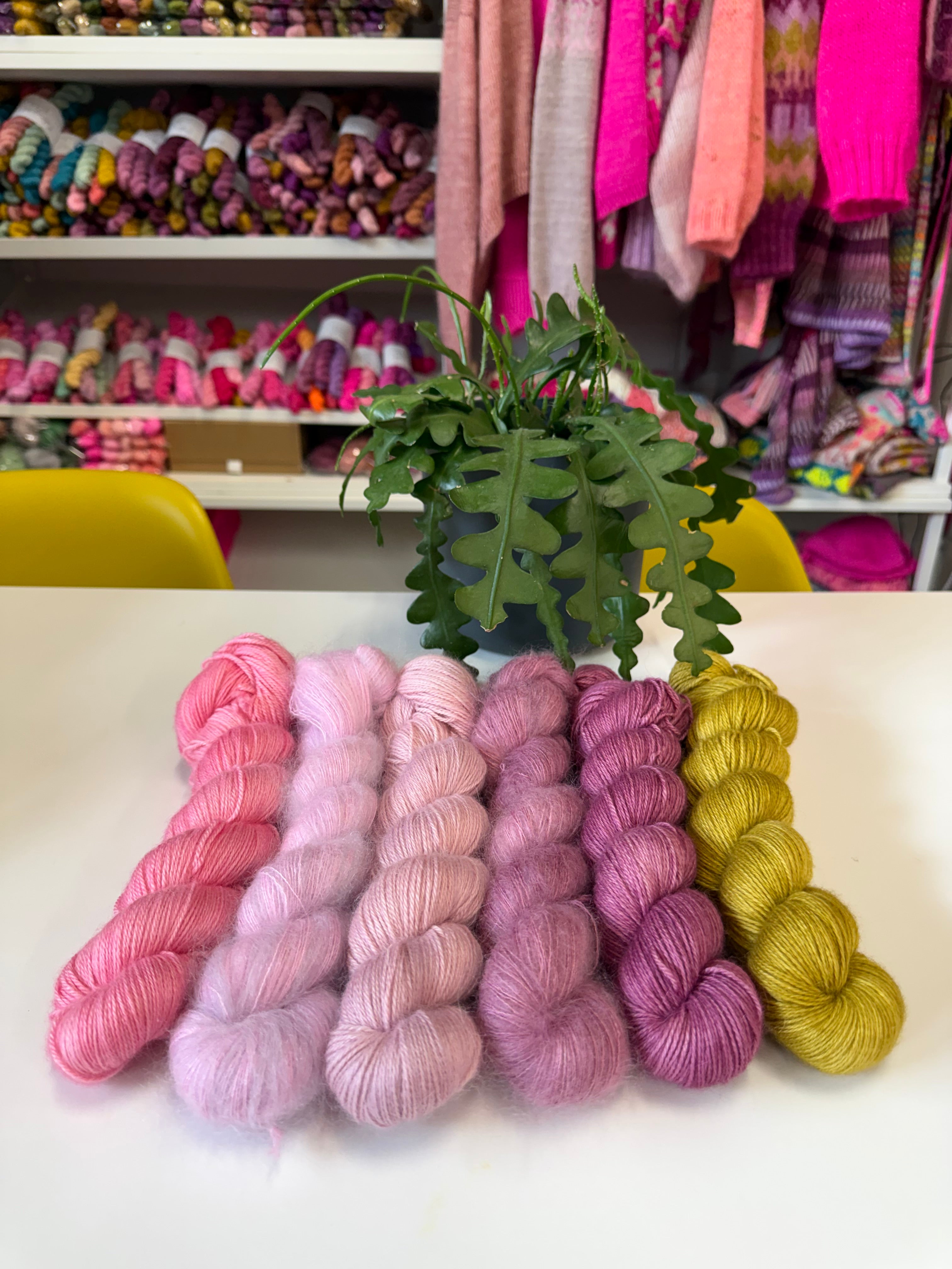 Sophie’s colours for West Knits MusiKAL