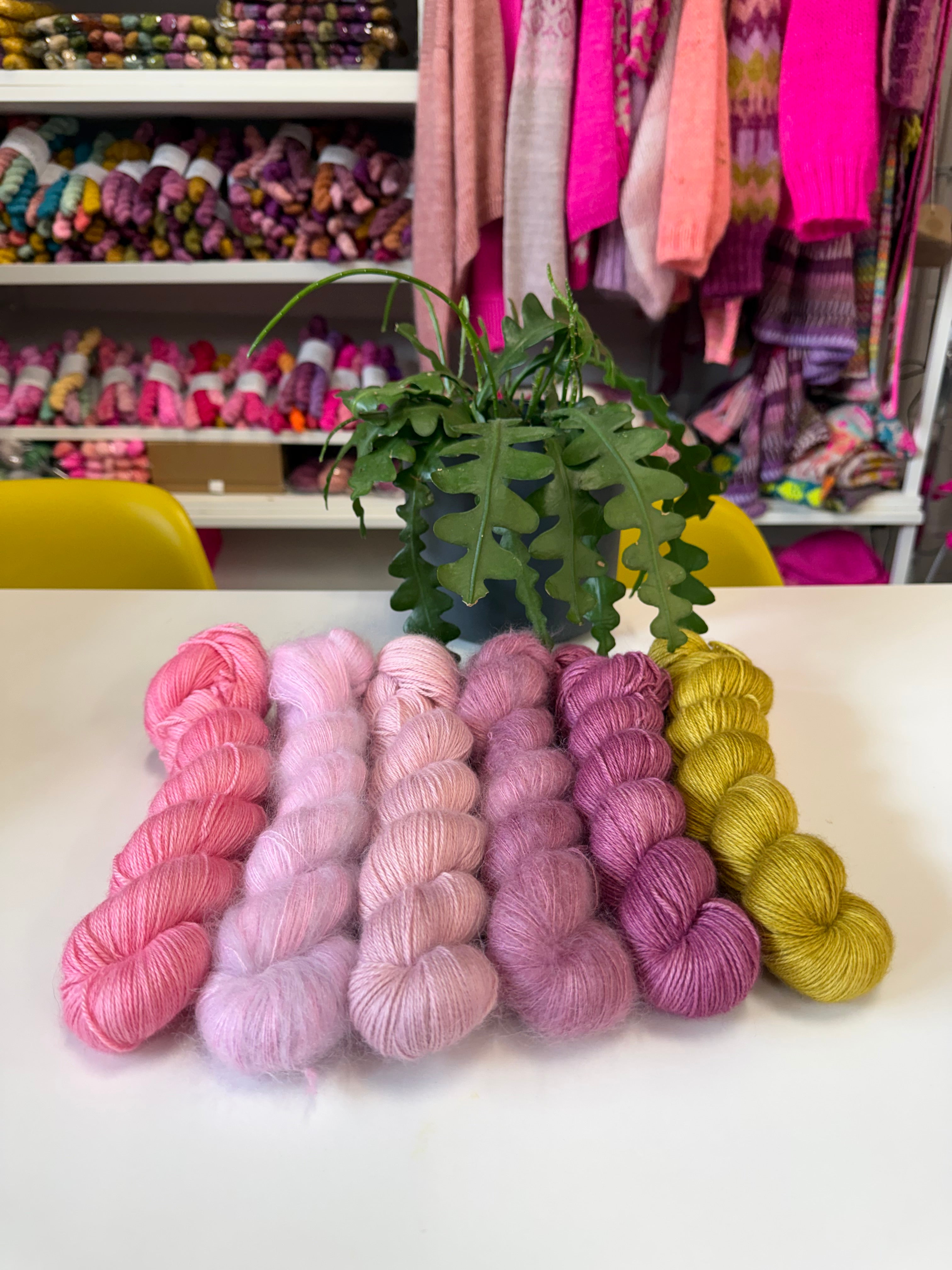 Sophie’s colours for West Knits MusiKAL