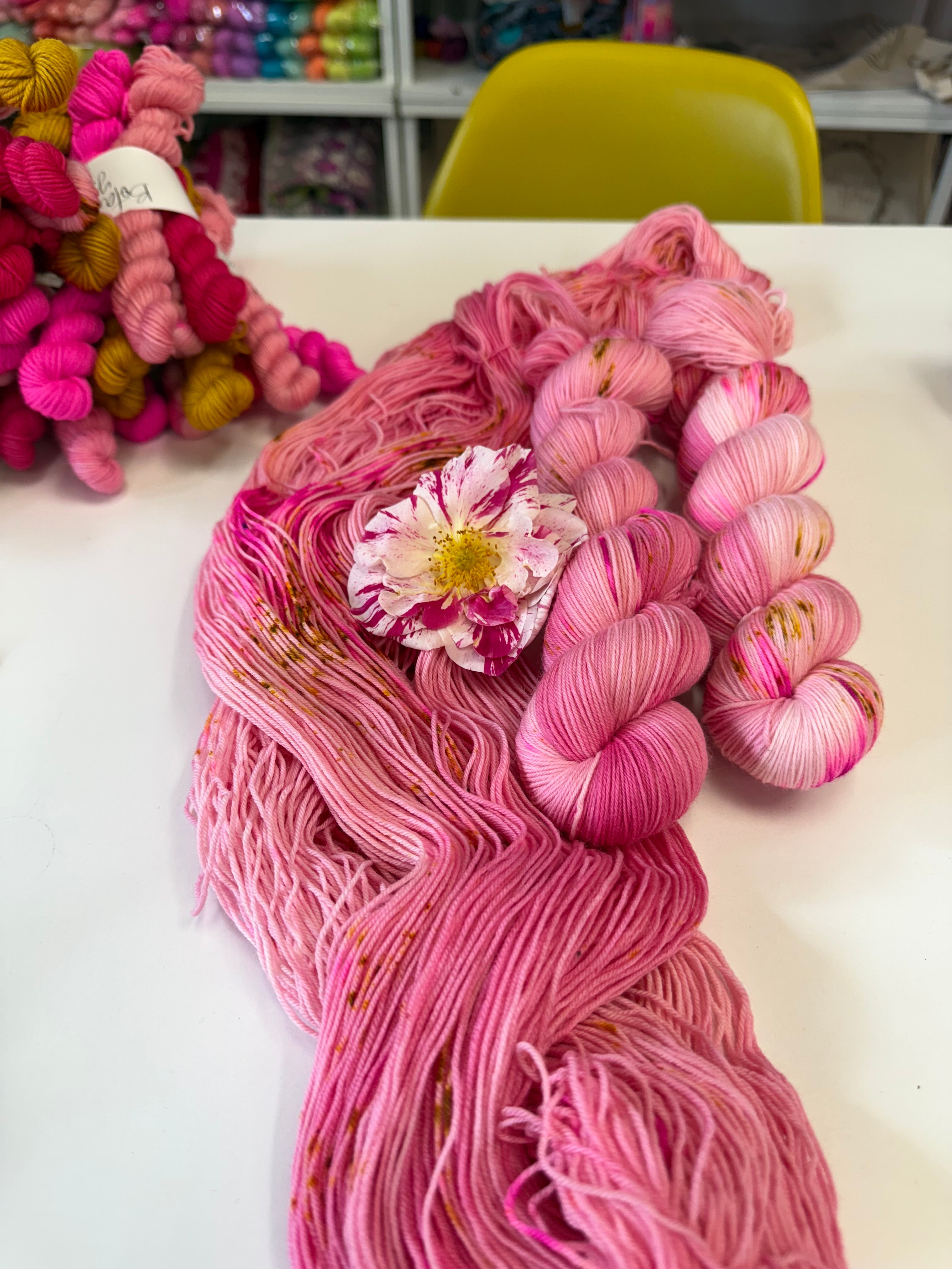 Ready to ship -  The King’s Rose David Austin Chelsea Flower Show 2025