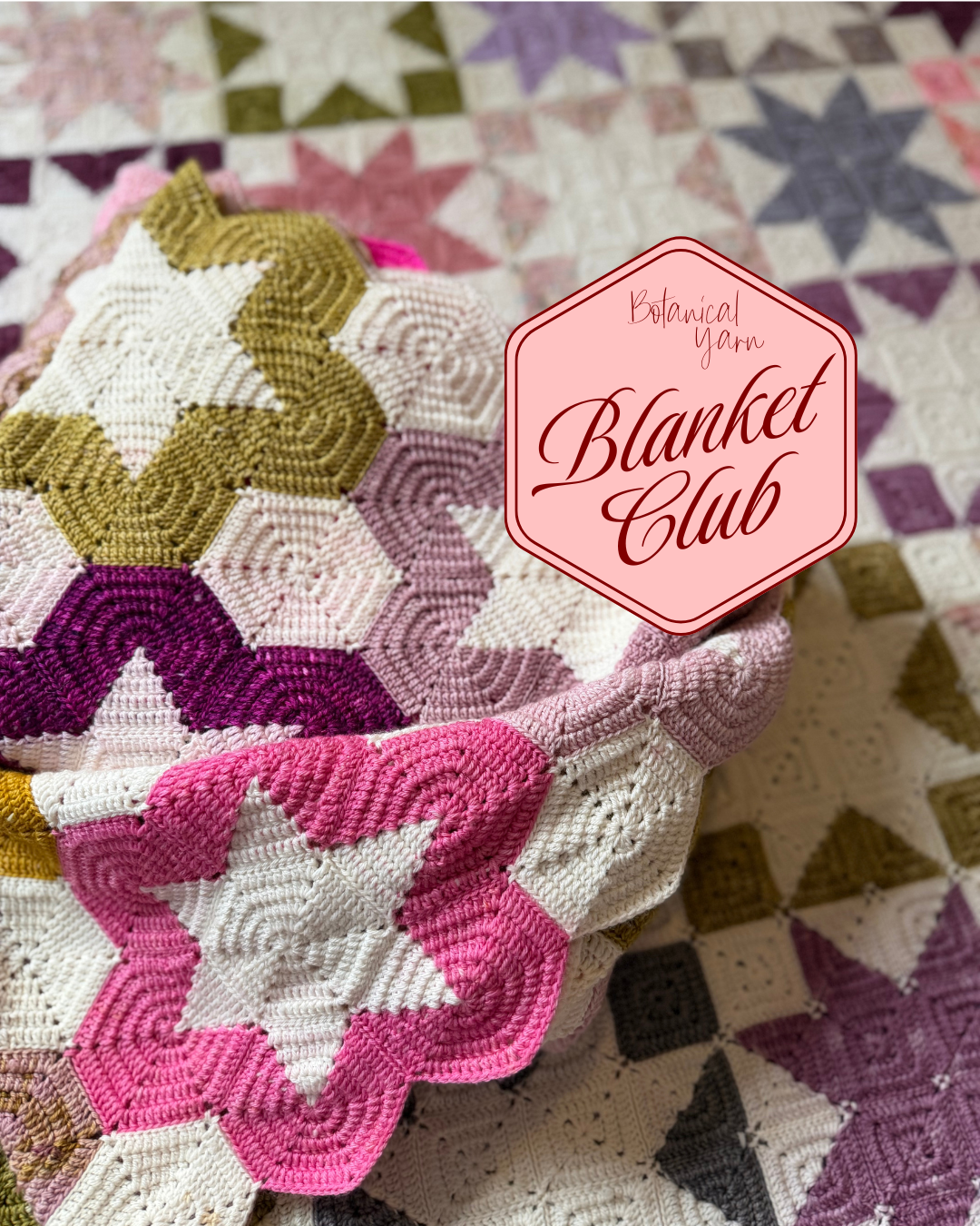 Monthly Subscription to the Mini Skein Blanket Club