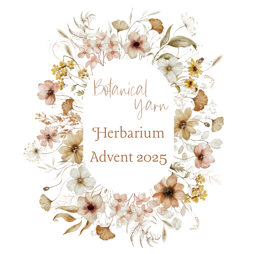 2025 Botanical yarn Advent Calendar Herbarium botanical yarn