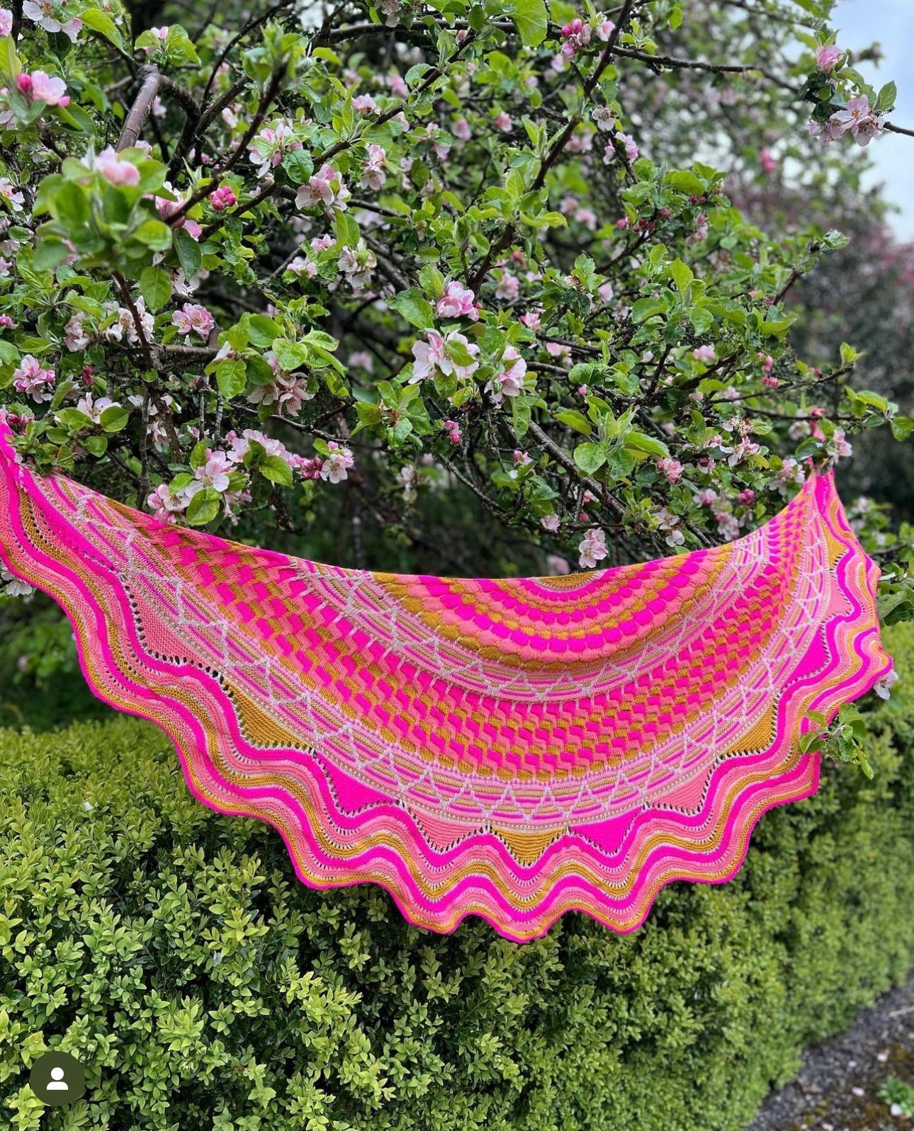 Bubbly Blossoms Shawl Kit by Stephen West