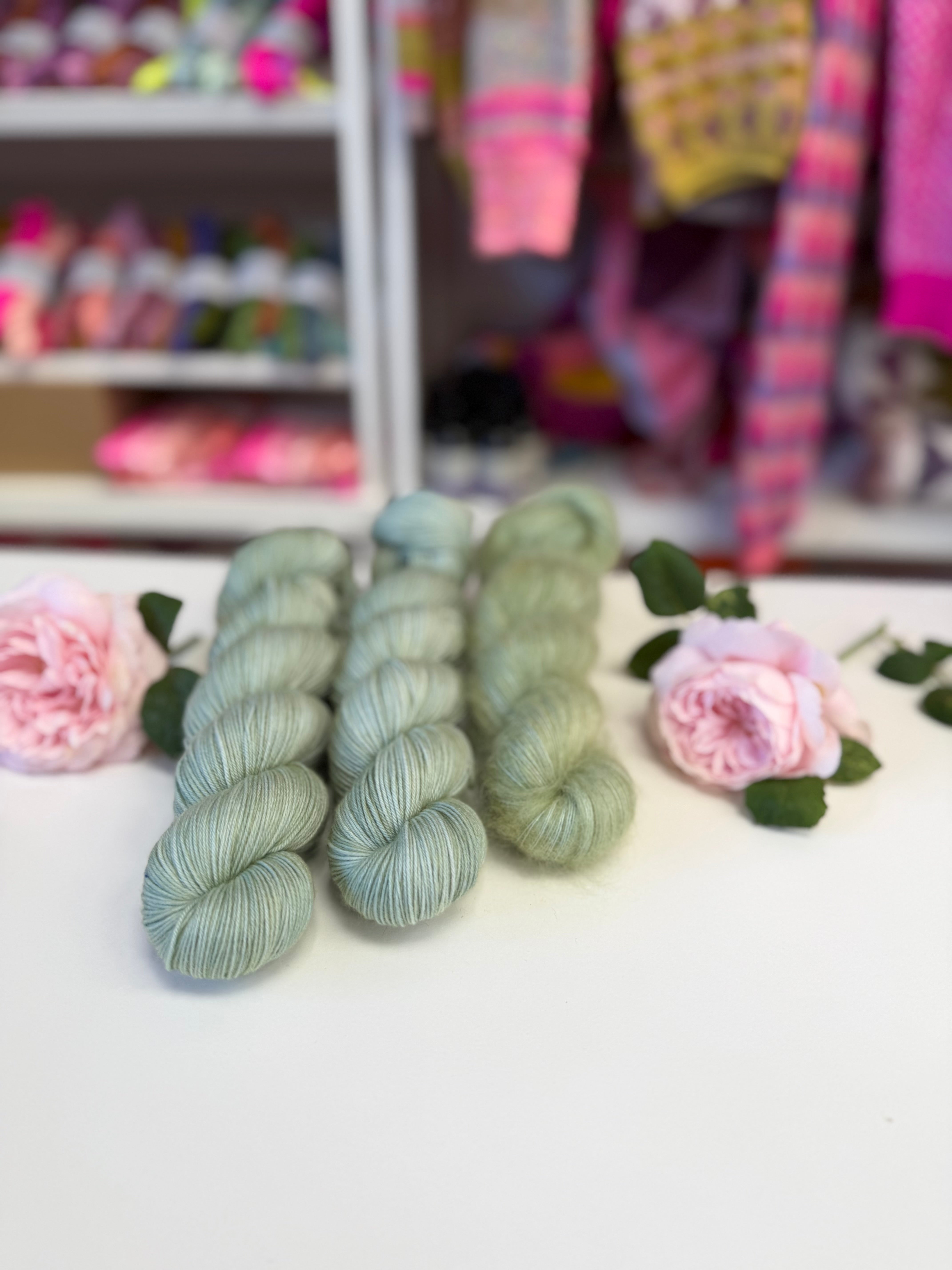 Dyed to order -  Hosta Blue Moon