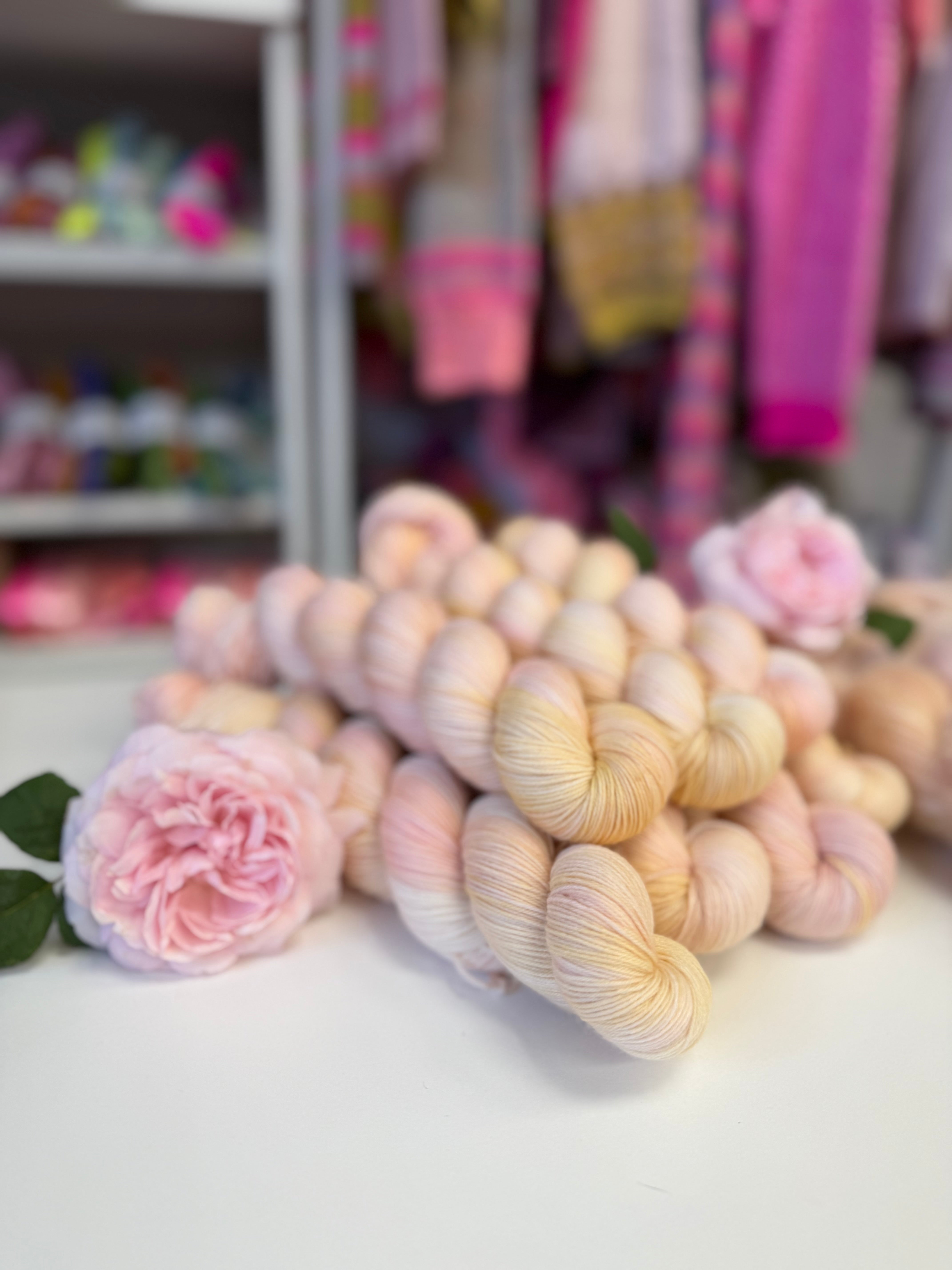 Dyed to order -  David Austin Chelsea Rose 2026 Sir David Beckham Rose WITHOUT Speckles