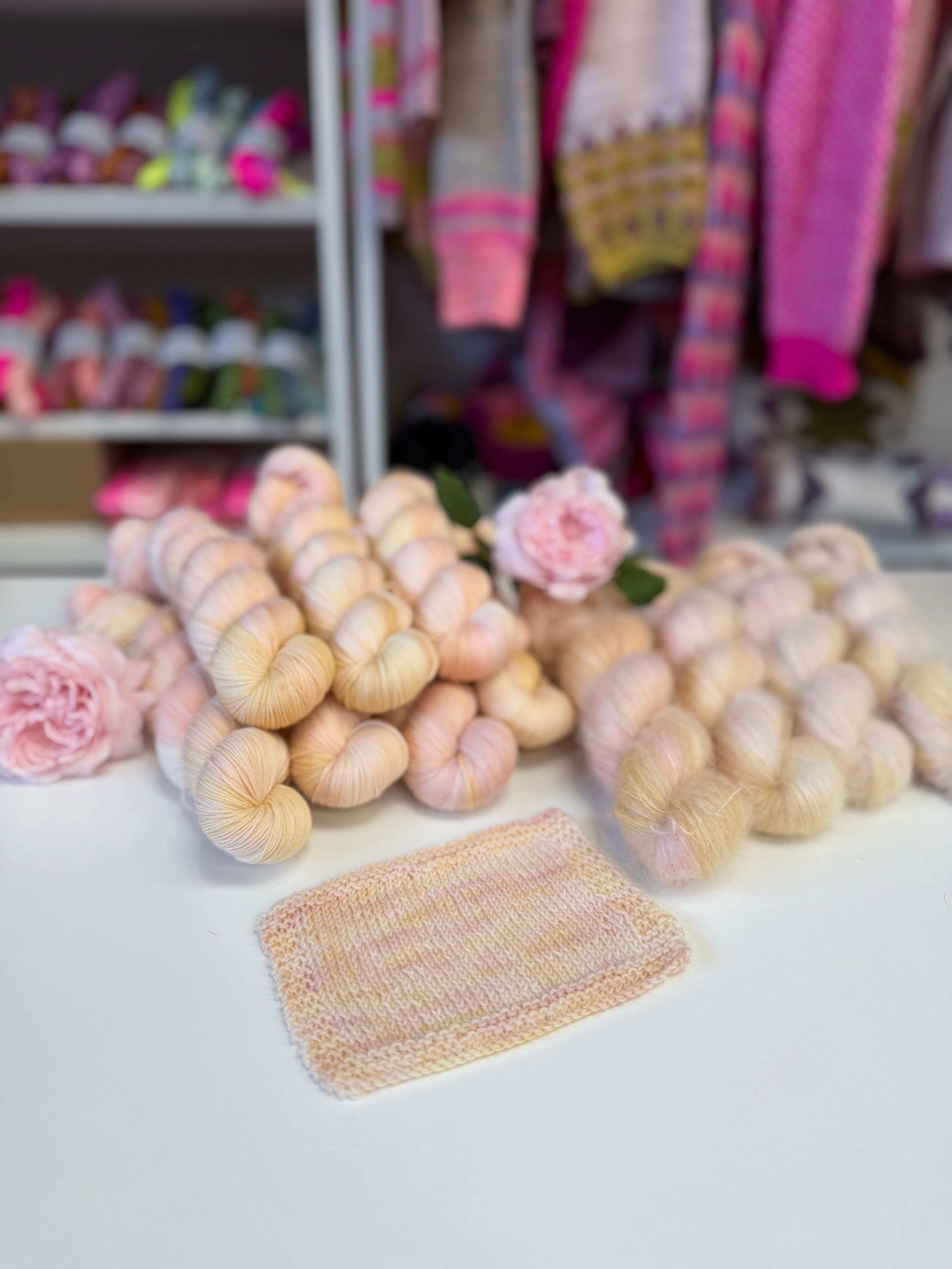 Dyed to order -  David Austin Chelsea Rose 2026 Sir David Beckham Rose WITHOUT Speckles