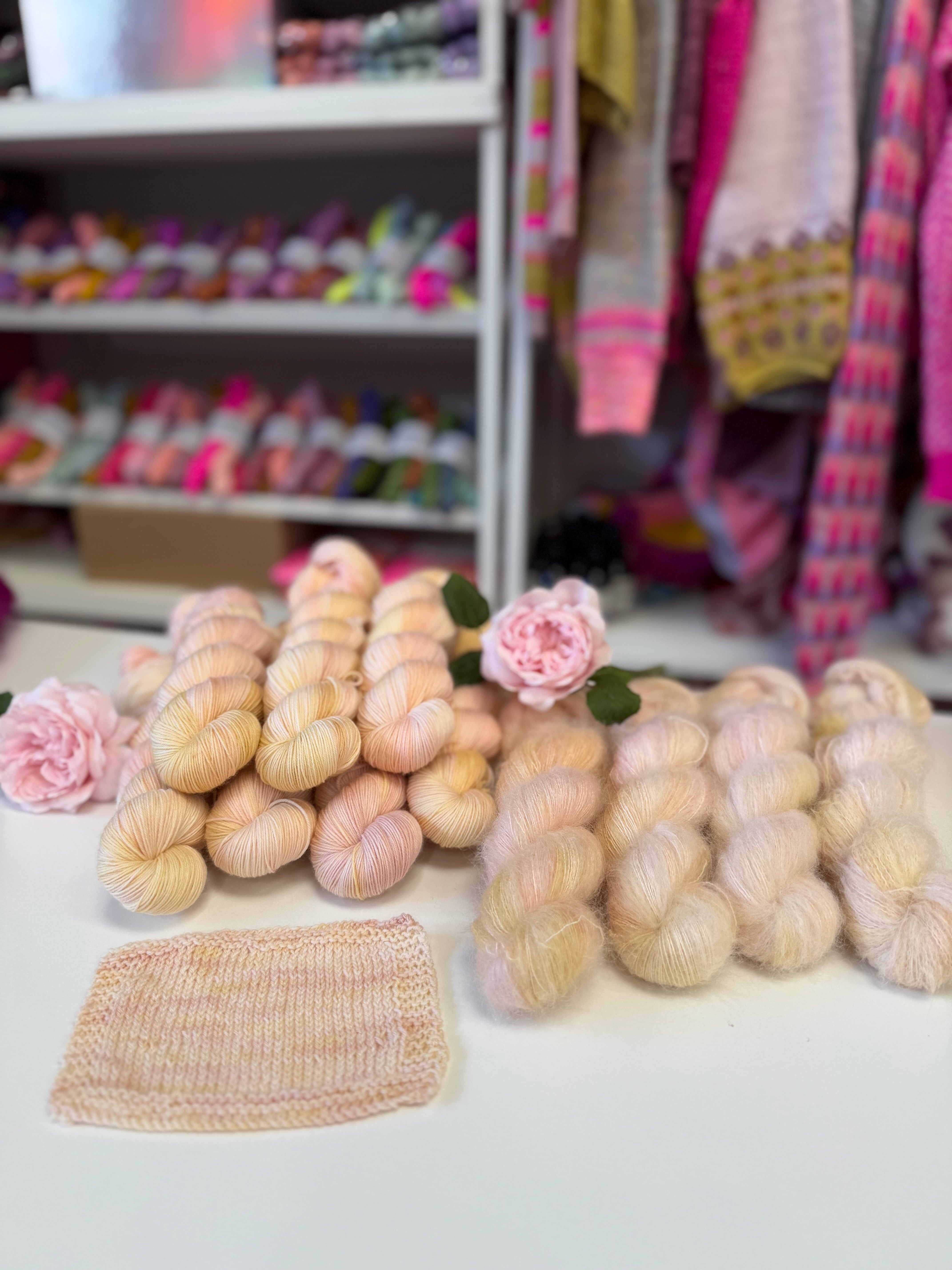 Dyed to order -  David Austin Chelsea Rose 2026 Sir David Beckham Rose WITHOUT Speckles