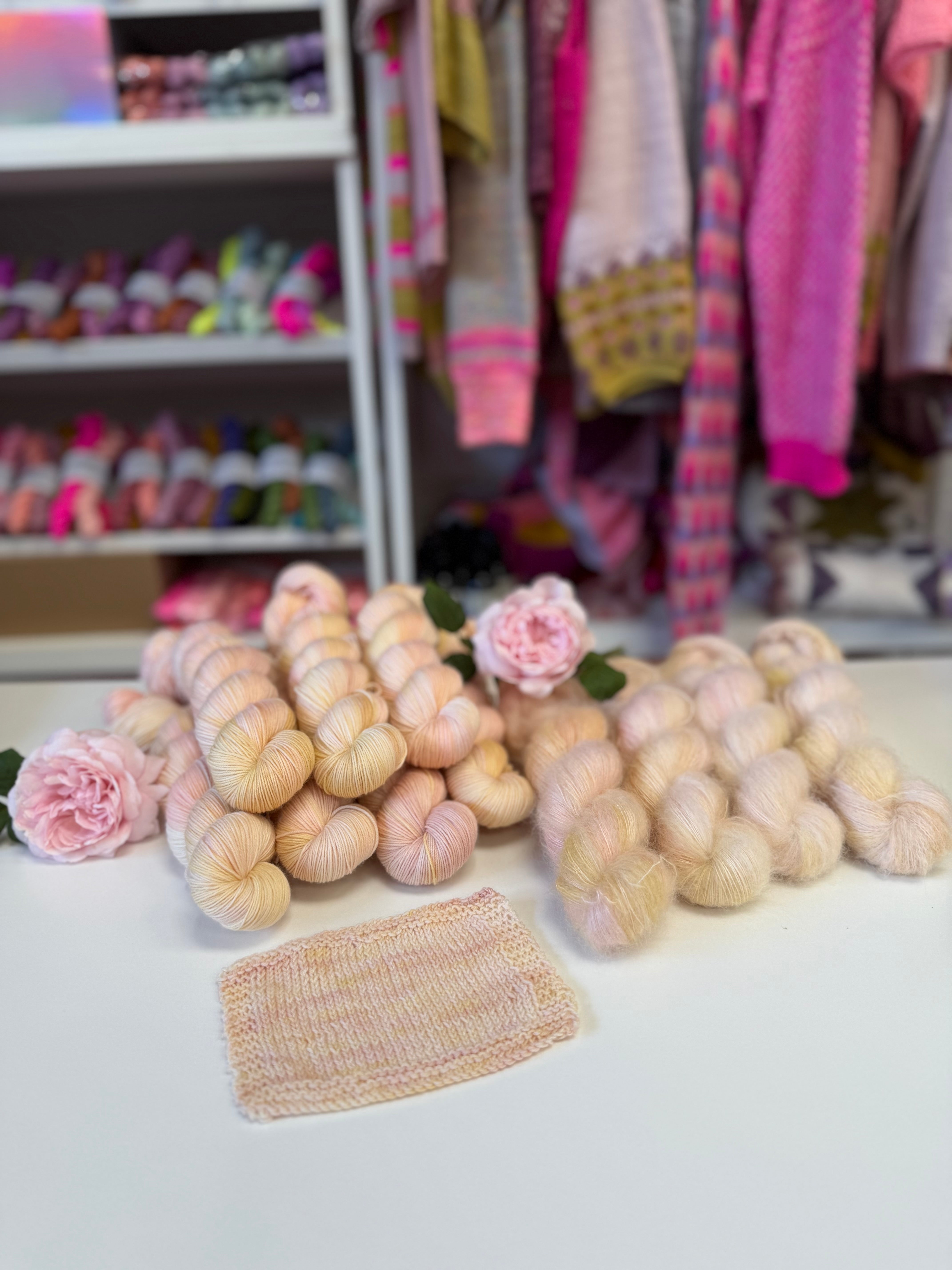 Dyed to order -  David Austin Chelsea Rose 2026 Sir David Beckham Rose WITHOUT Speckles