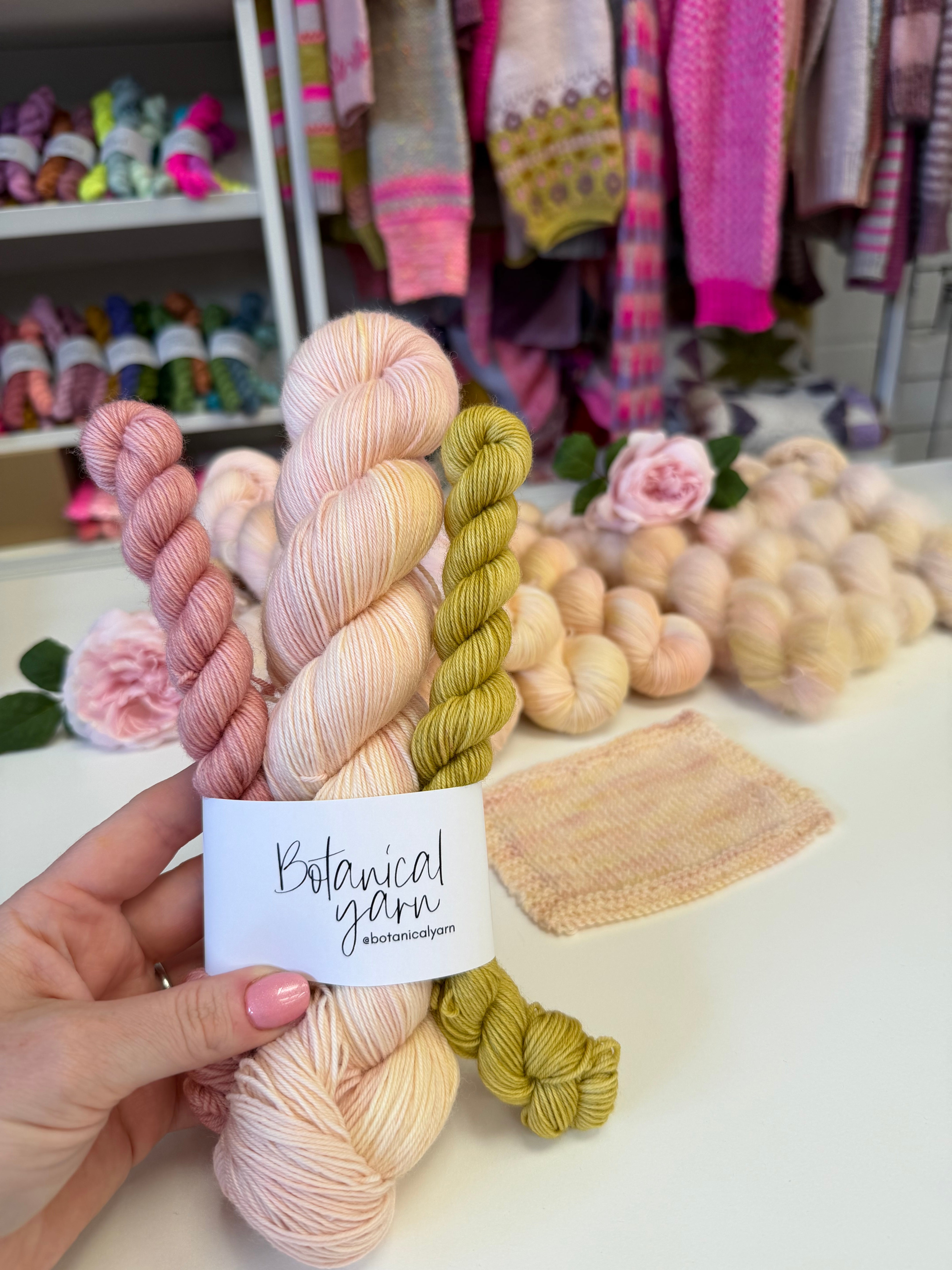 Dyed to order - 140g Sock Set - David Austin Chelsea Rose 2026 Sir David Beckham Rose WITHOUT Speckles