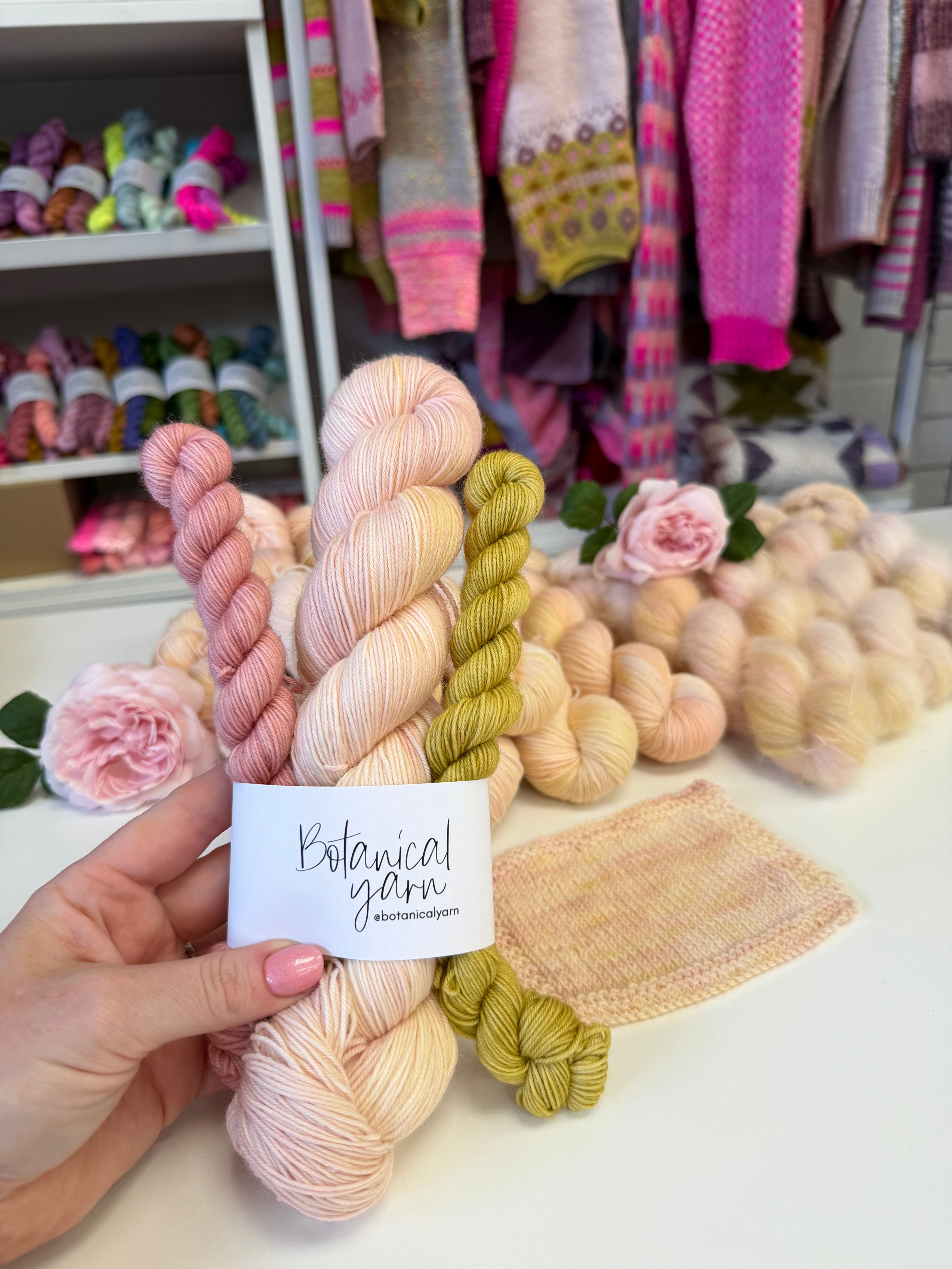 Dyed to order - 140g Sock Set - David Austin Chelsea Rose 2026 Sir David Beckham Rose WITHOUT Speckles