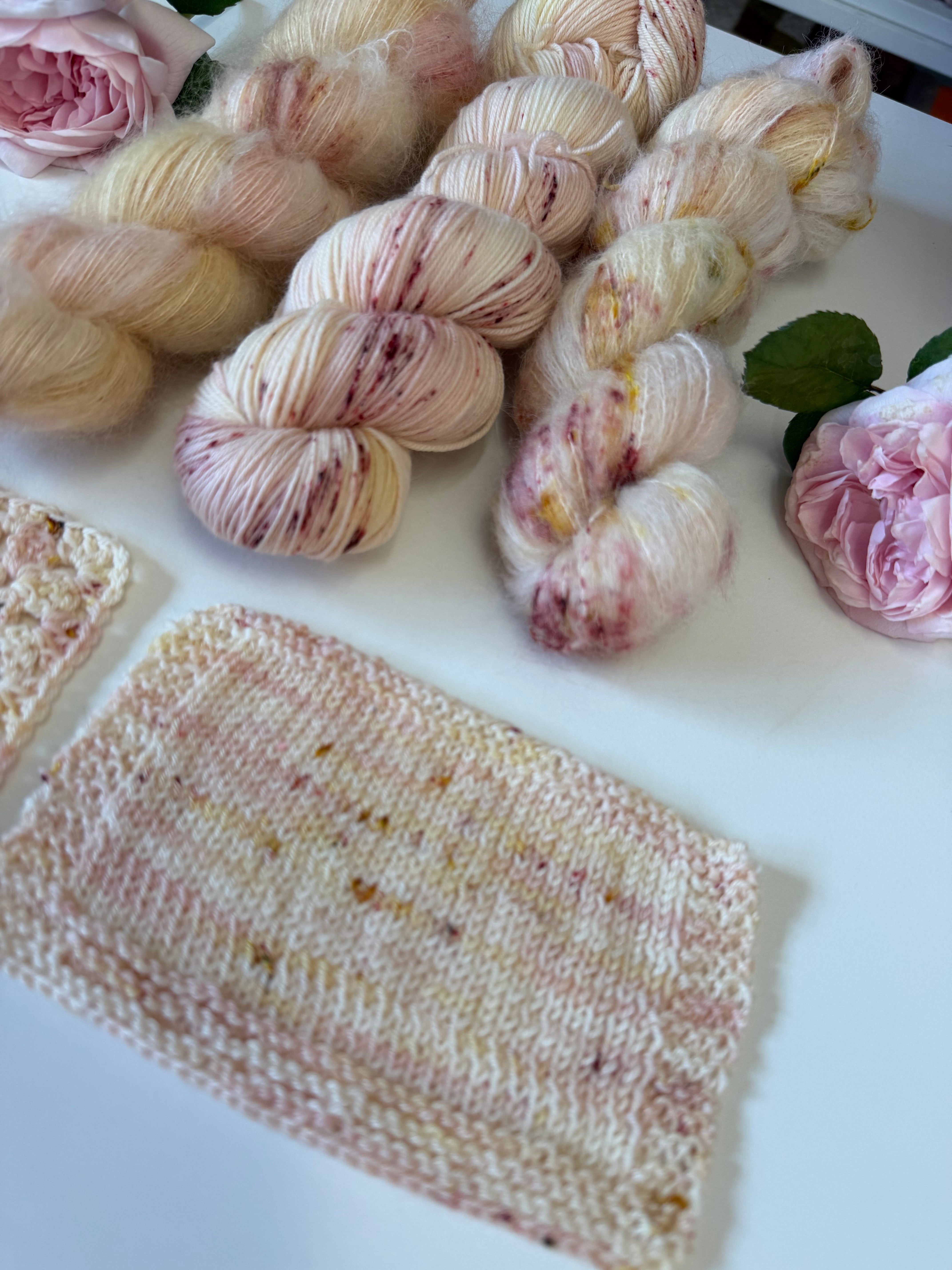 Dyed to order -  David Austin Chelsea Rose 2026 Sir David Beckham Rose WITH Speckles