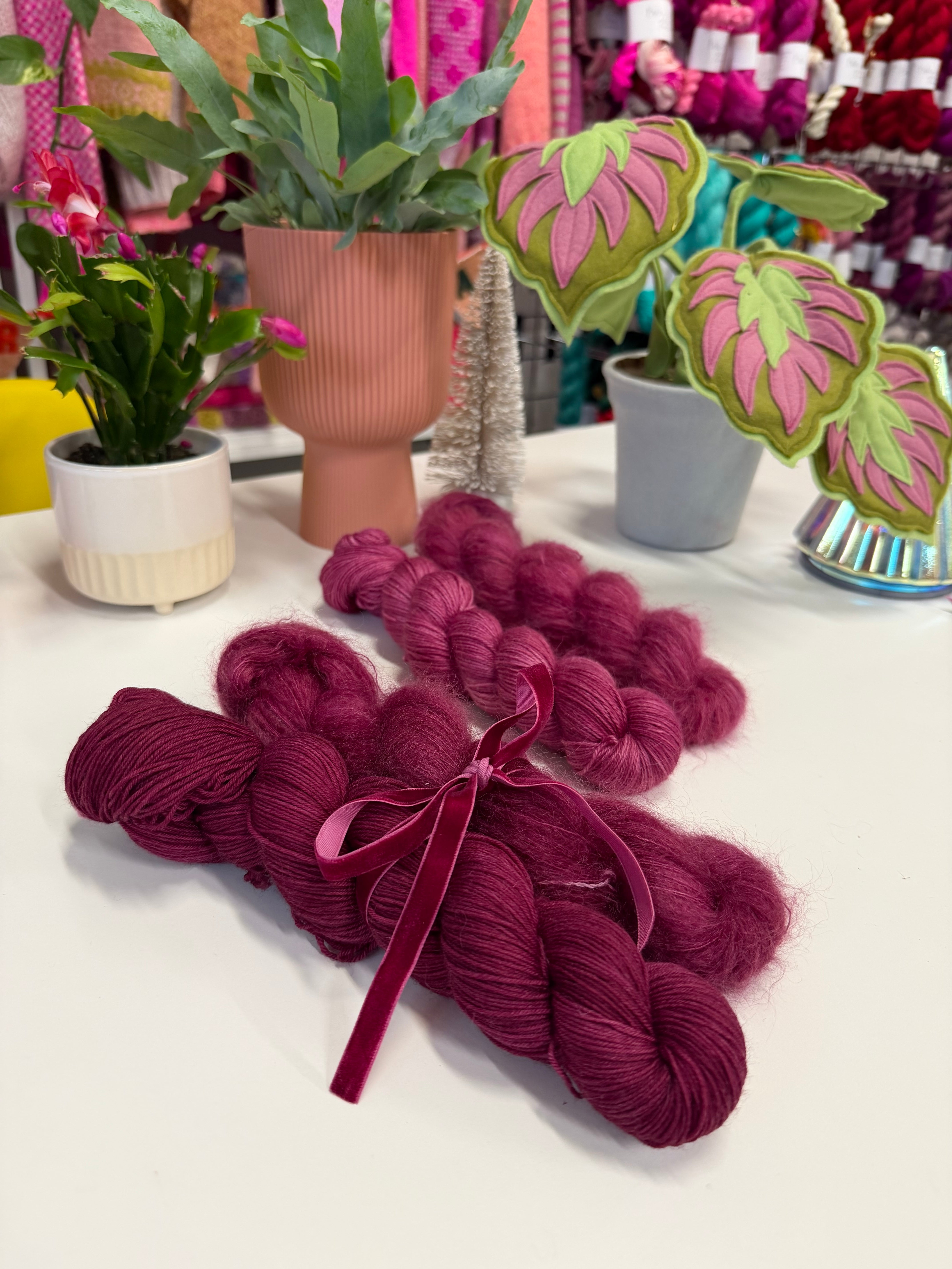 Colour Saturday - Hellebore Burgundy