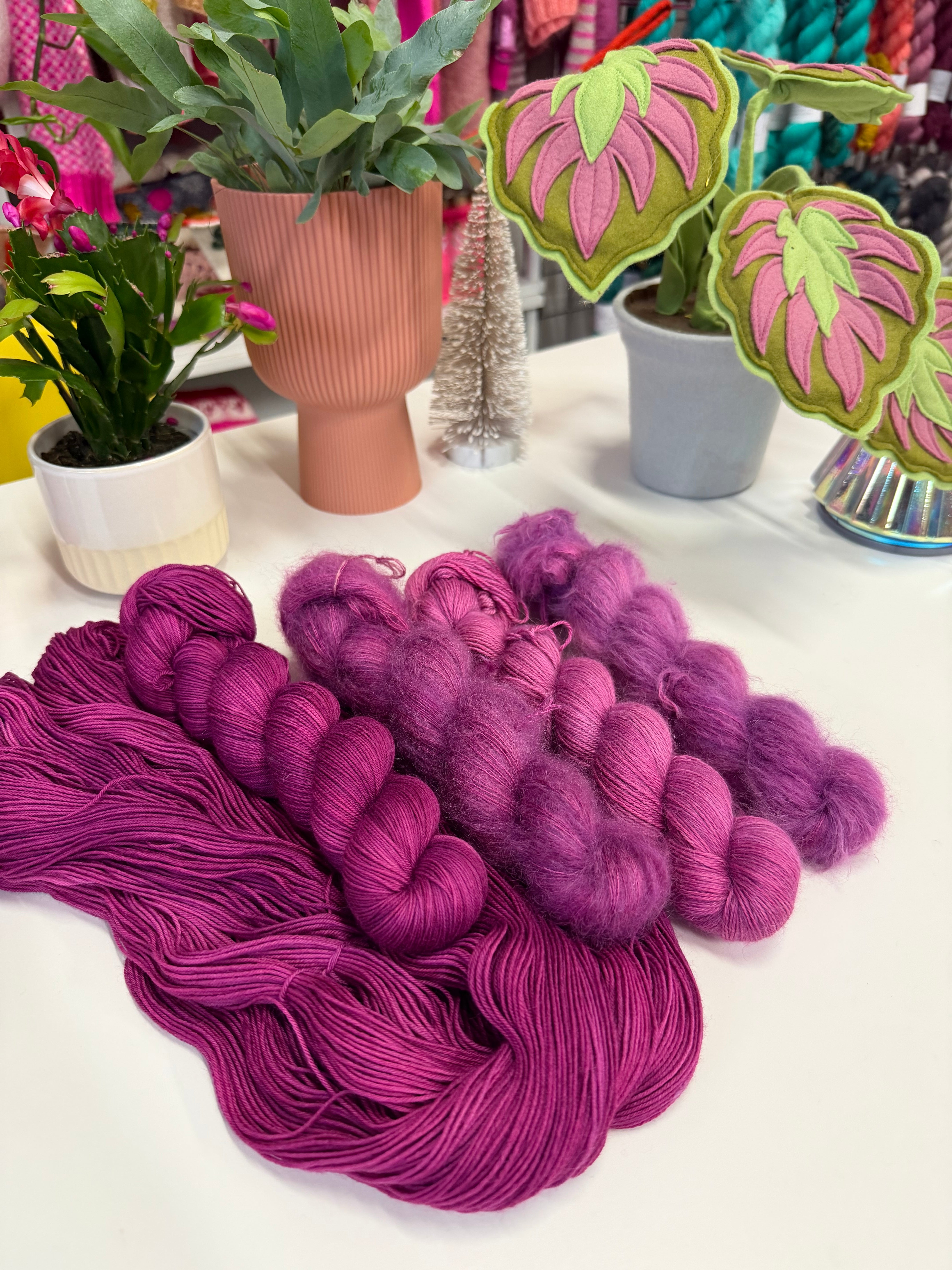Colour Saturday - Ranunculus Magic Purple