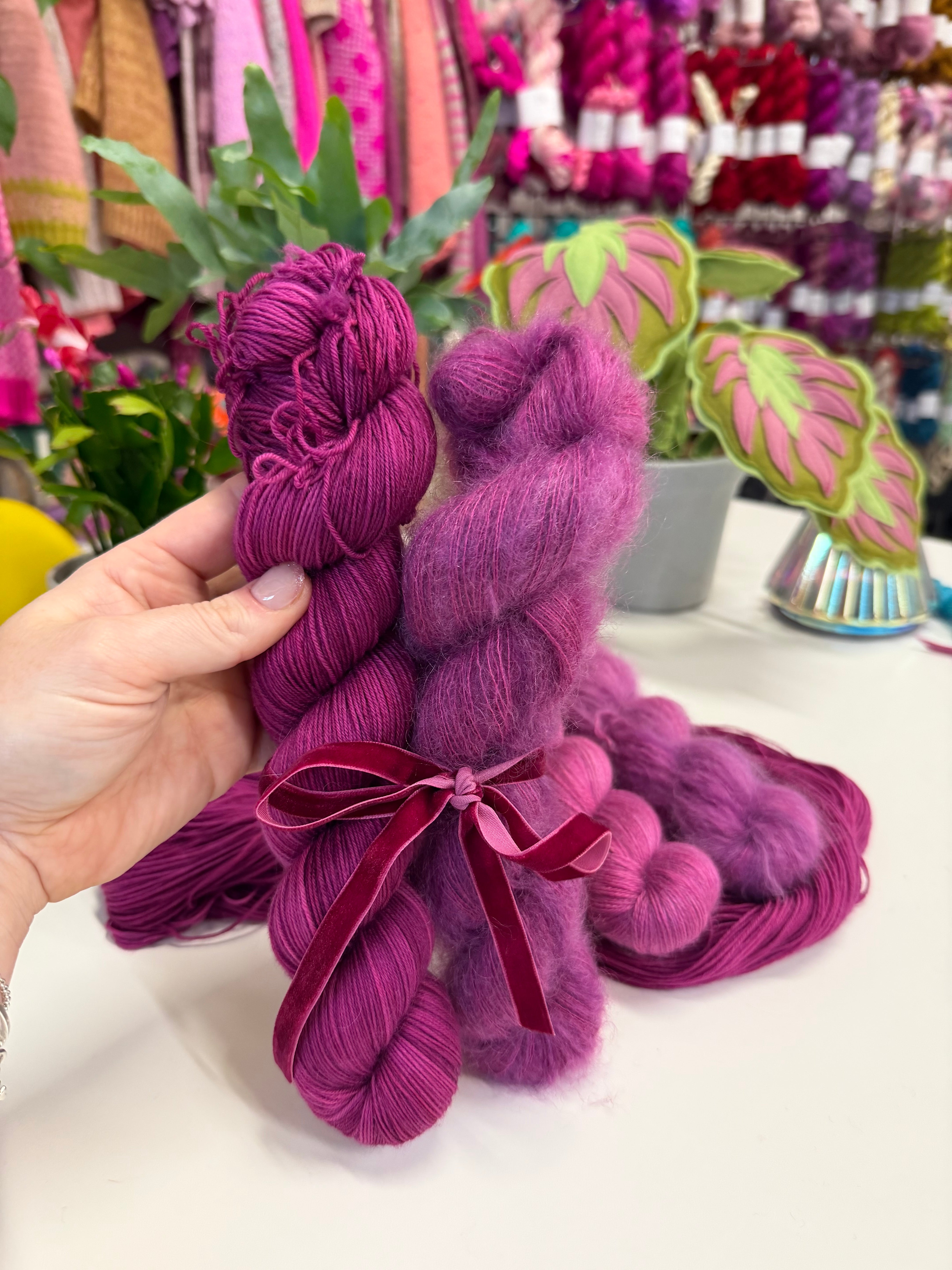 Colour Saturday - Ranunculus Magic Purple