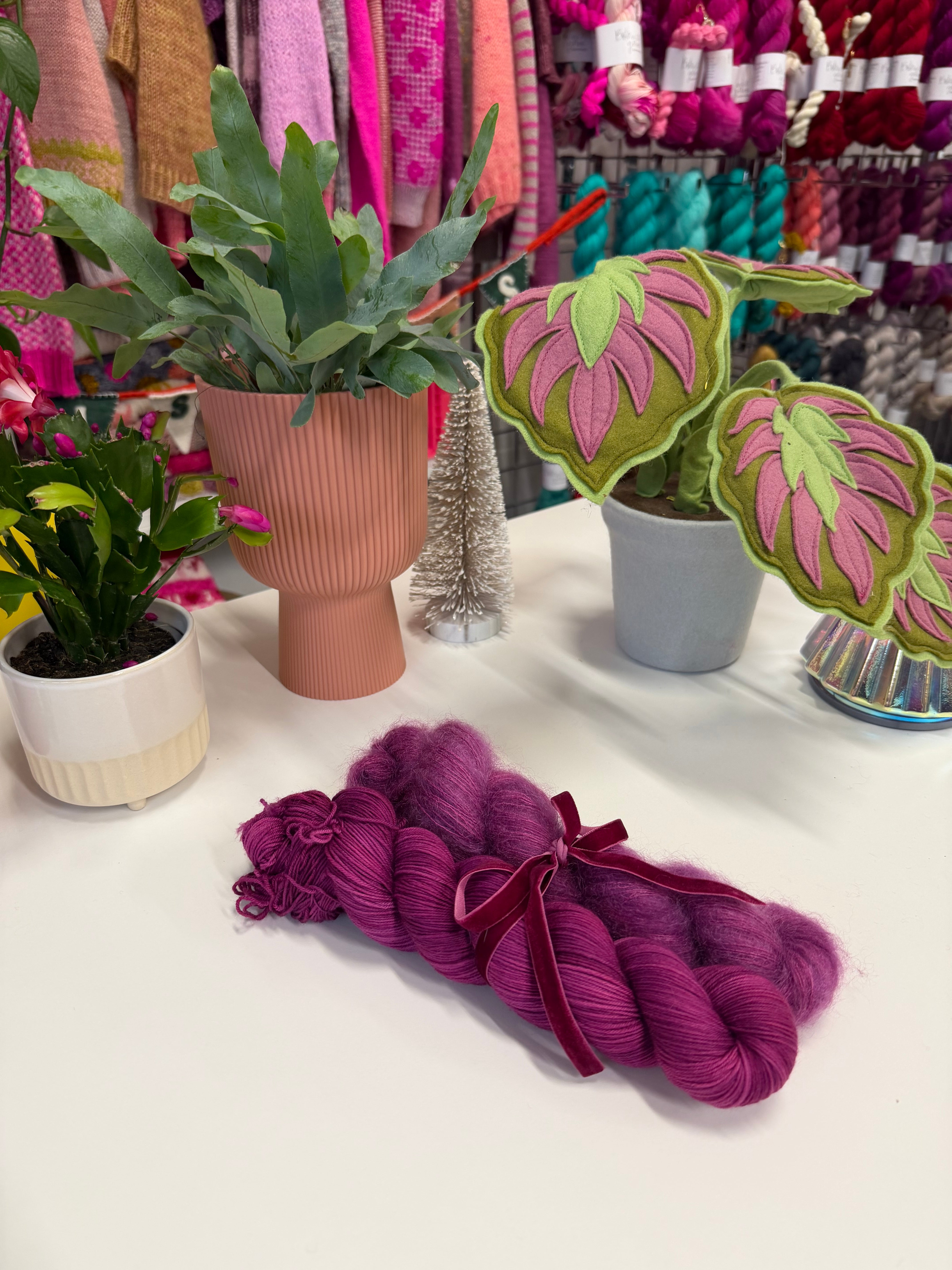 Colour Saturday - Ranunculus Magic Purple