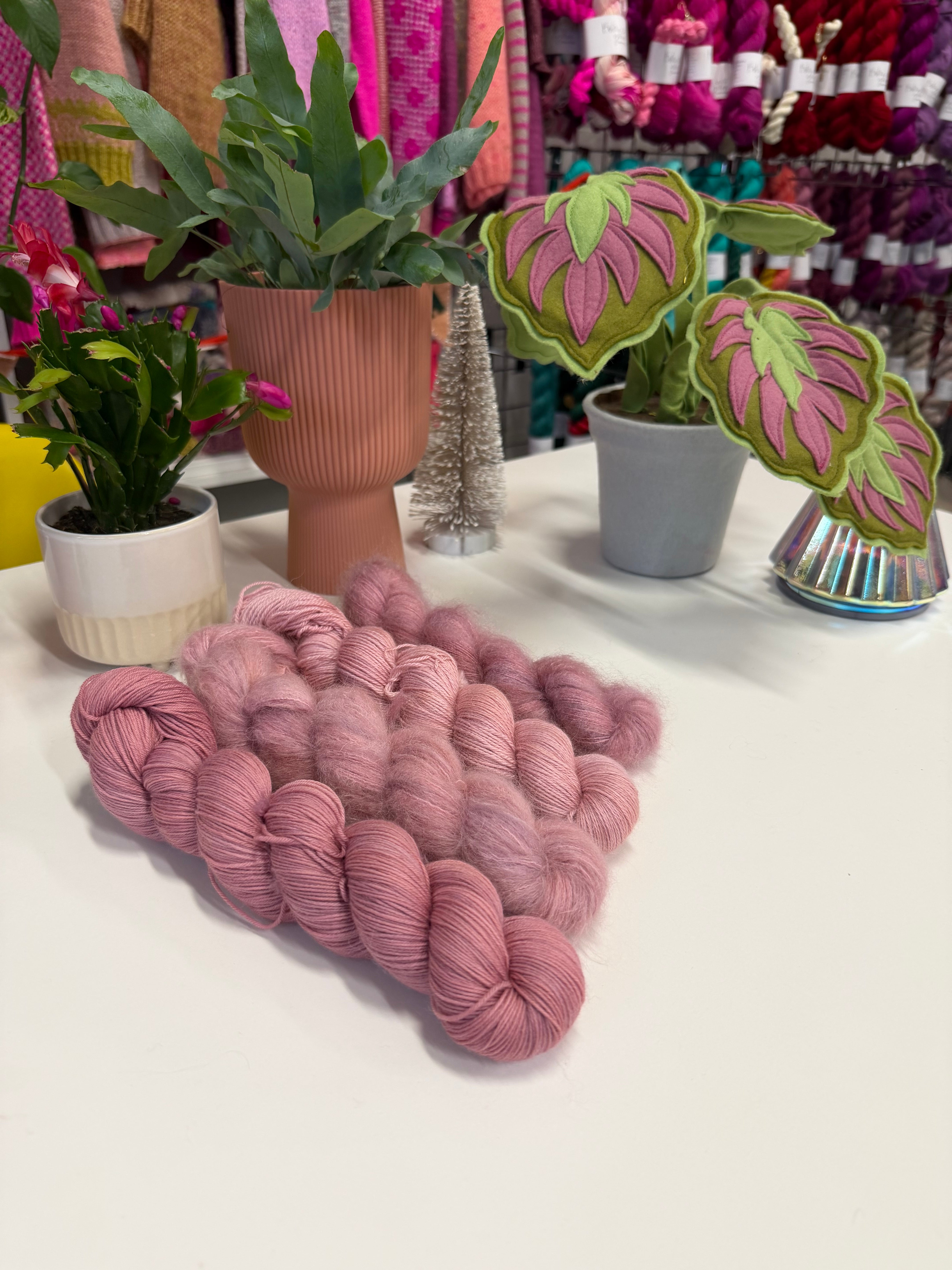 Ranunculus Chamallow