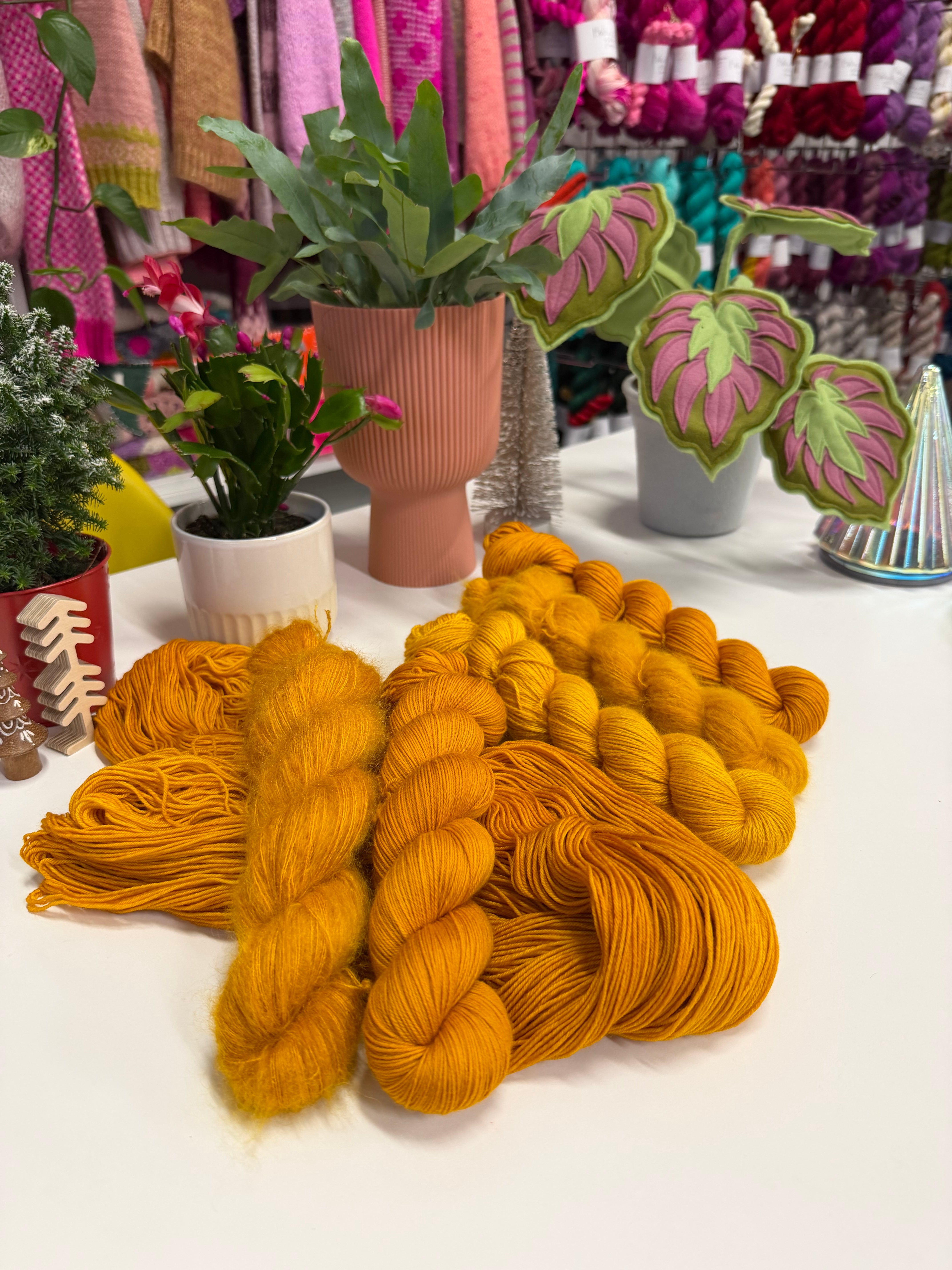 Colour Saturday - Craspedia