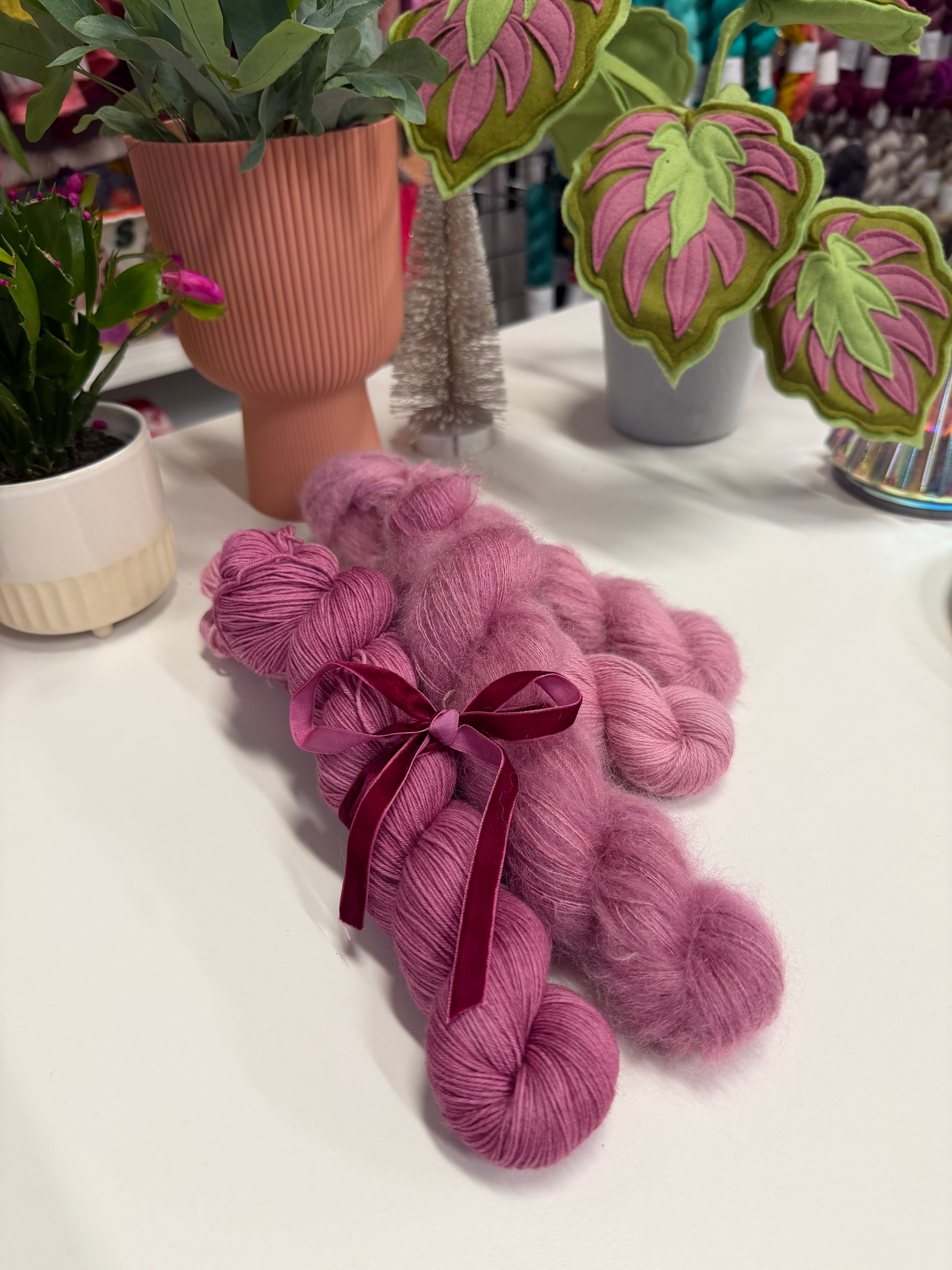 Colour Saturday - Hellebore Lenten Rose