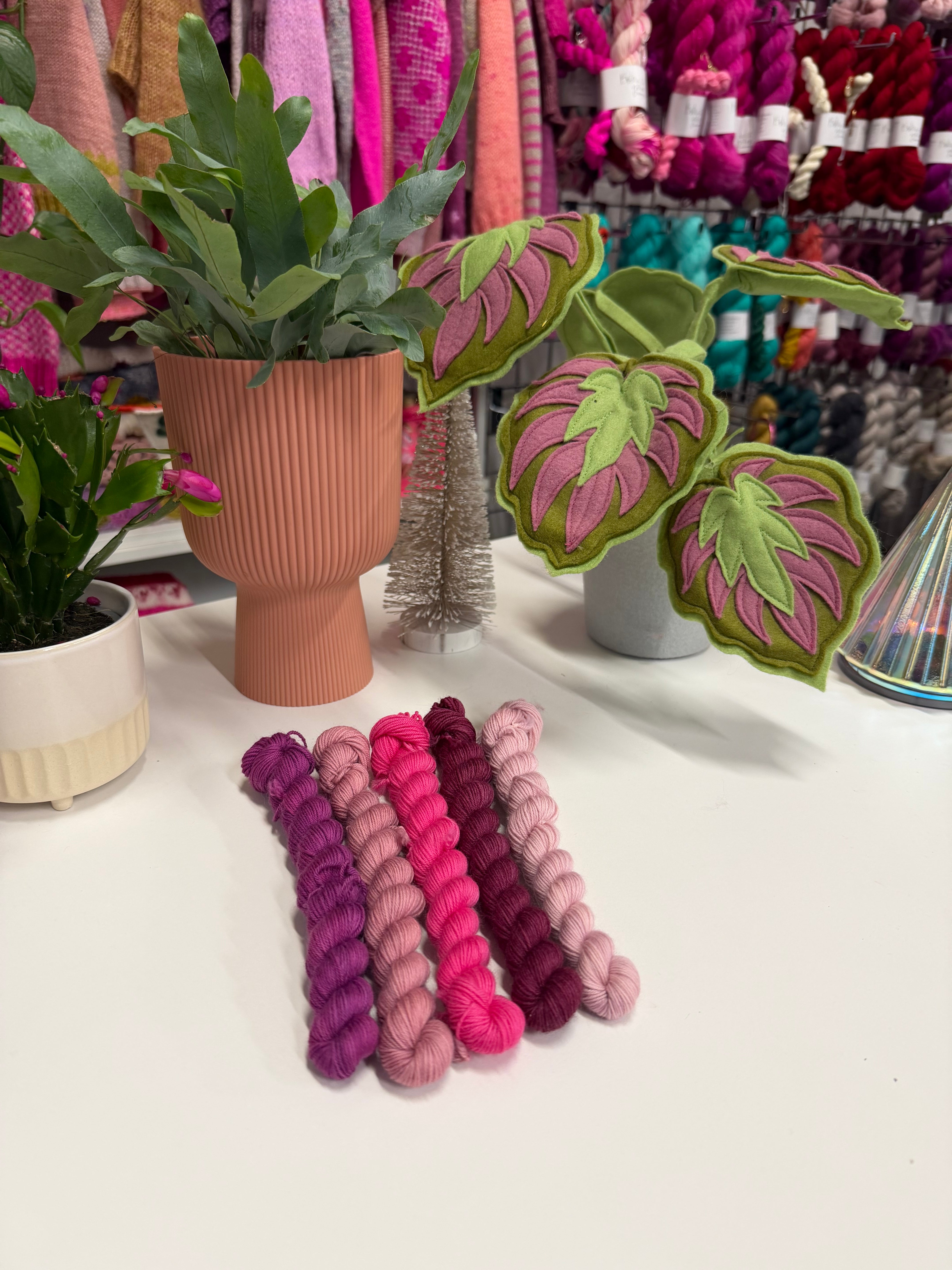 Colour Saturday Pinks Mini Skein Set