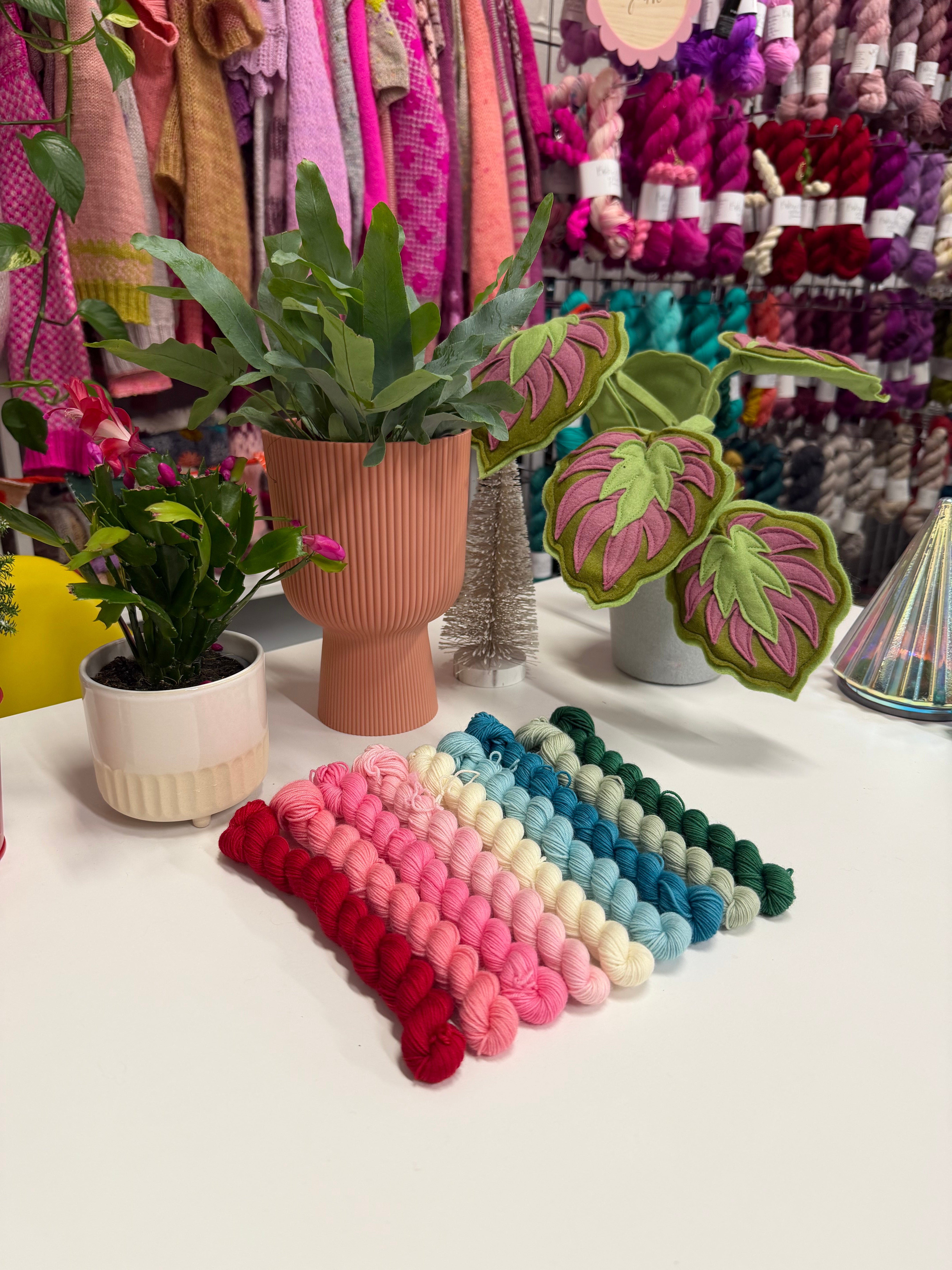 Holly Jolly 10 x 20g Mini Skein Set