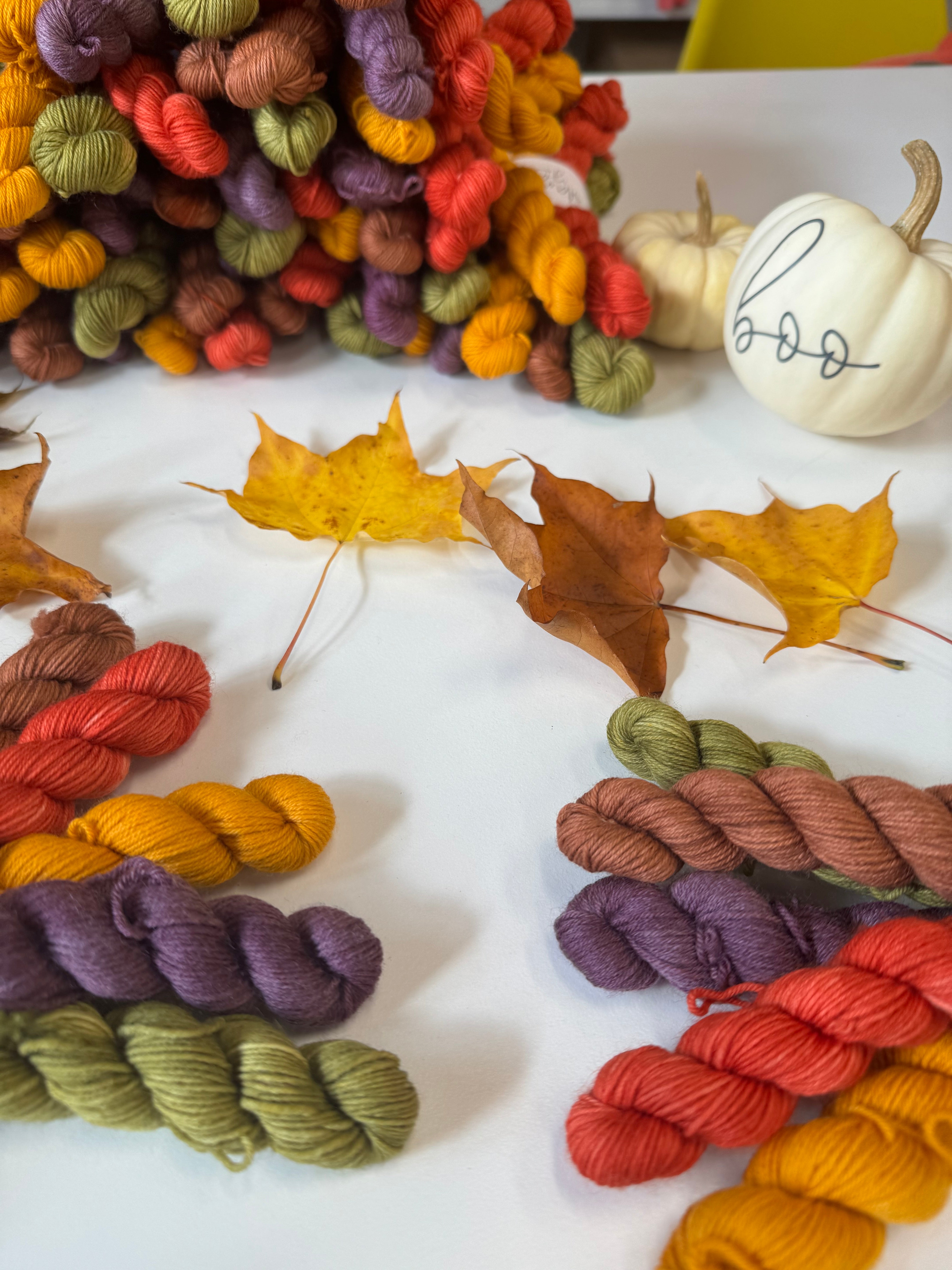 Dyed to order - Rhinebeck 2024 Mini Skein Set