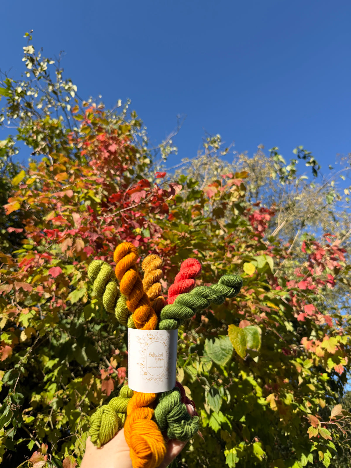 Dyed to order - A Woolen Affair - Leaf Peeping 5 x 20g Mini Skein Set