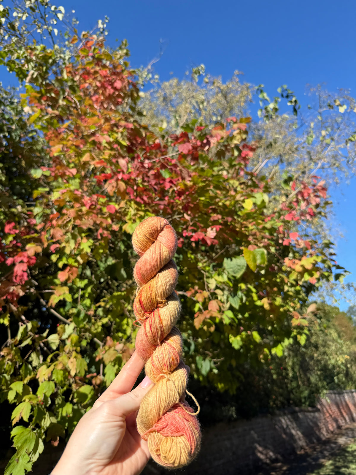 Dyed to order - A Woolen Affair 2026 - Leaf Peeping Colourway