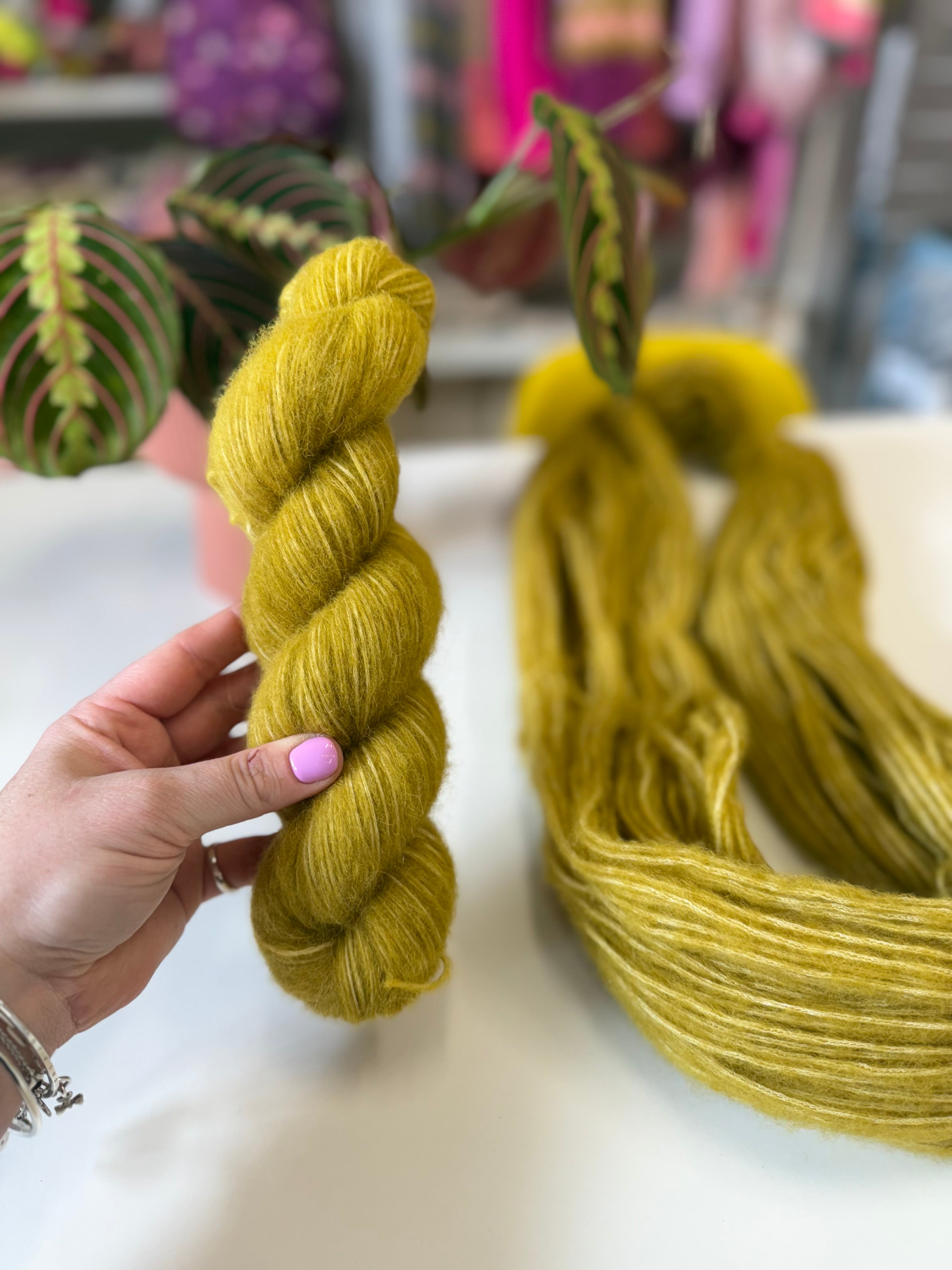 Ready to ship -  Alchemilla Mollis