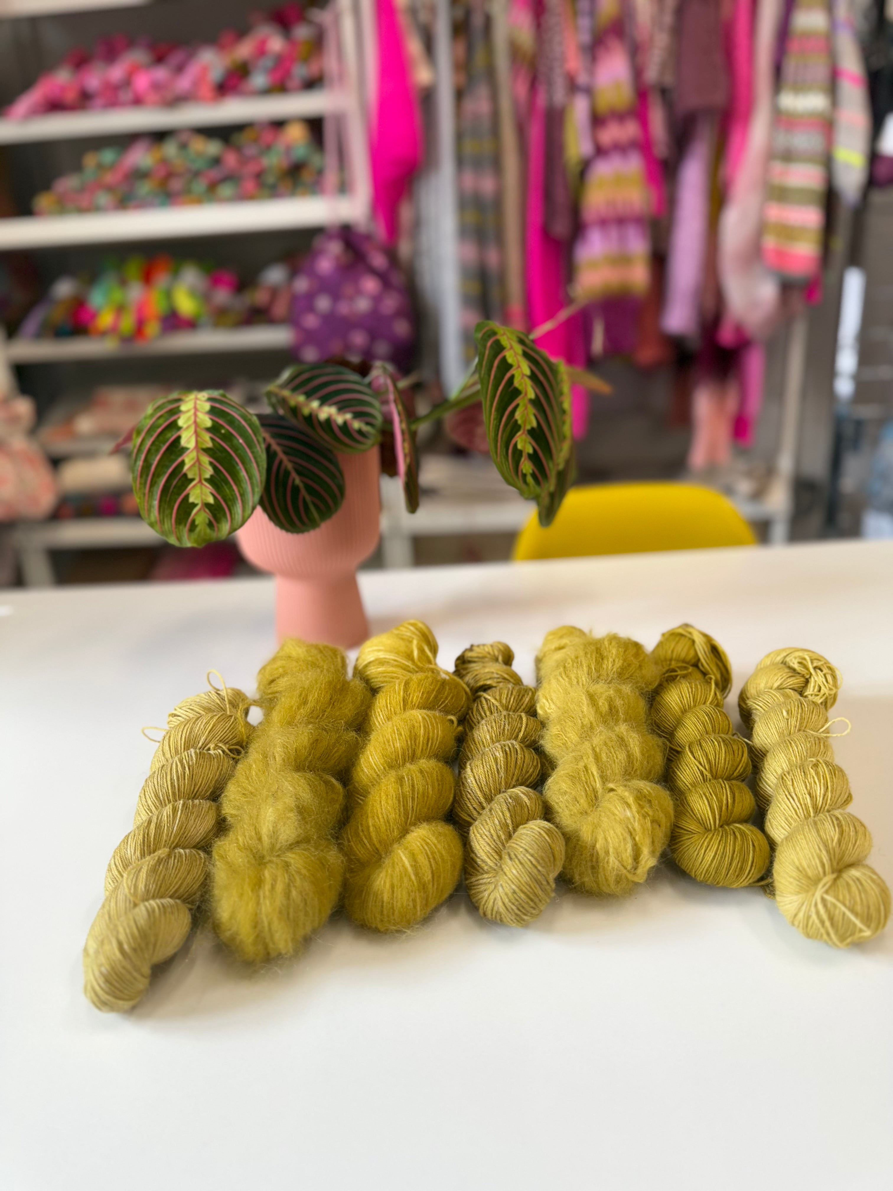 Ready to ship -  Alchemilla Mollis