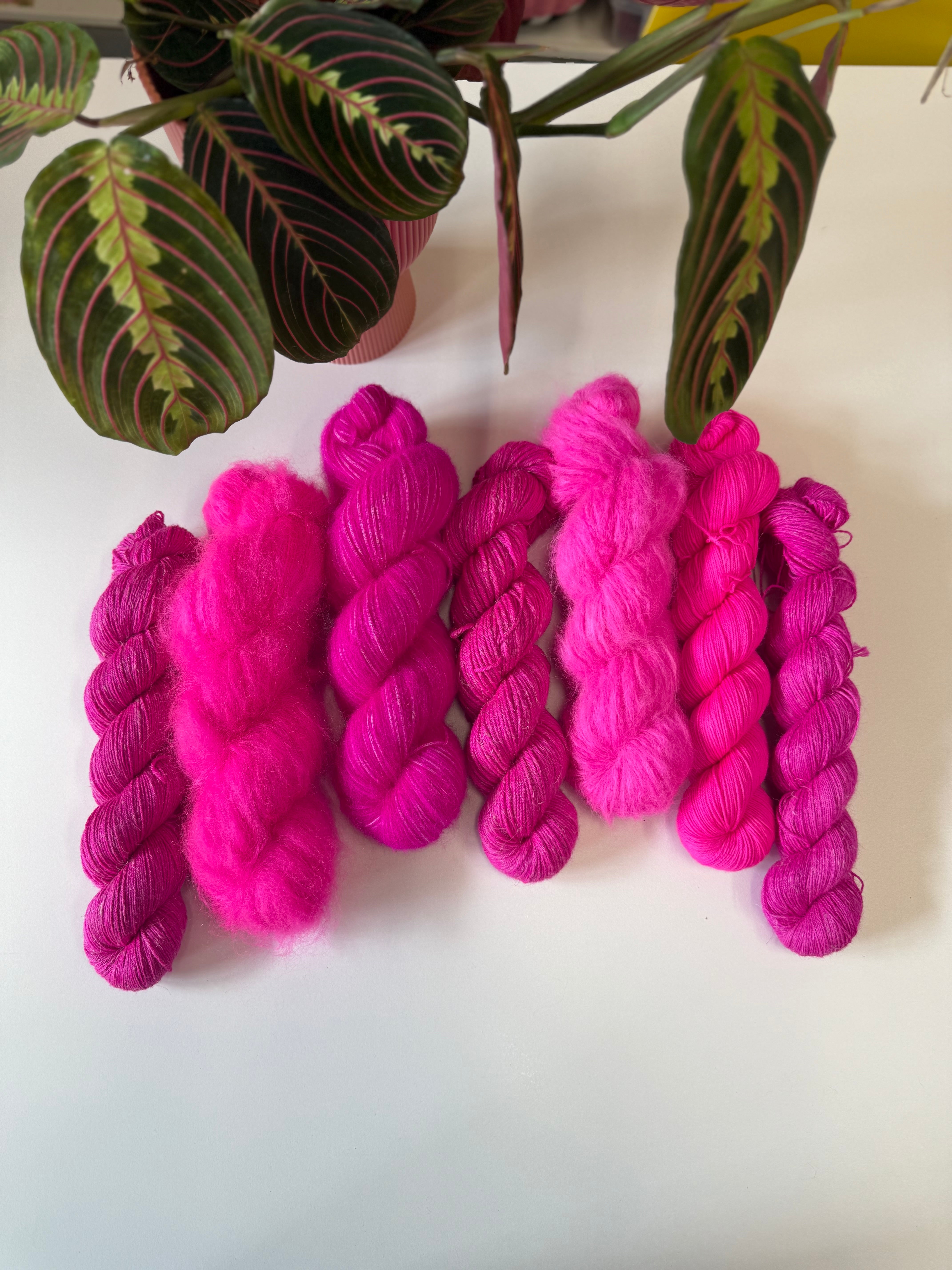 Dyed to order- Monarda