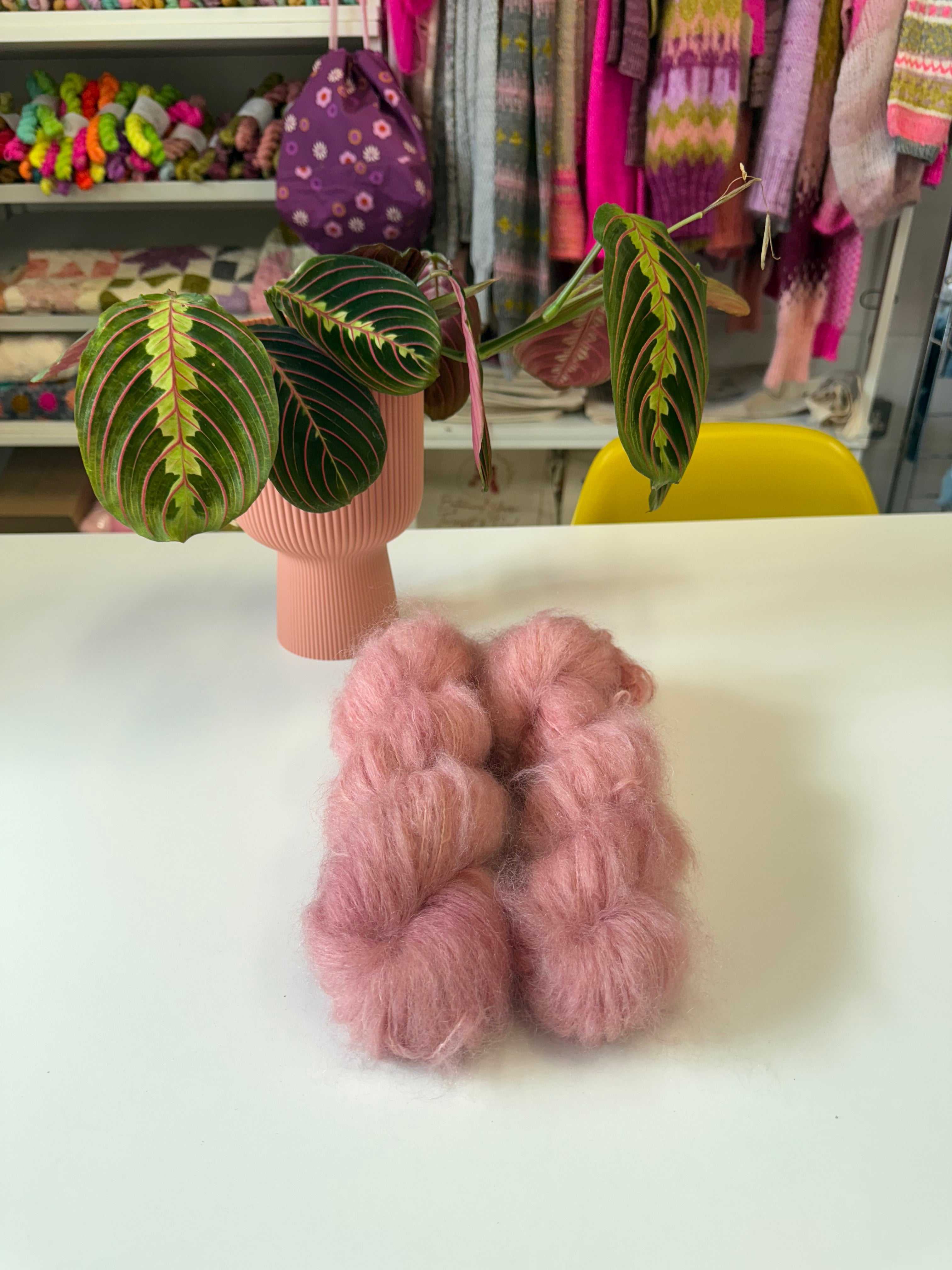 Ready to ship - Hellebore Orientalis