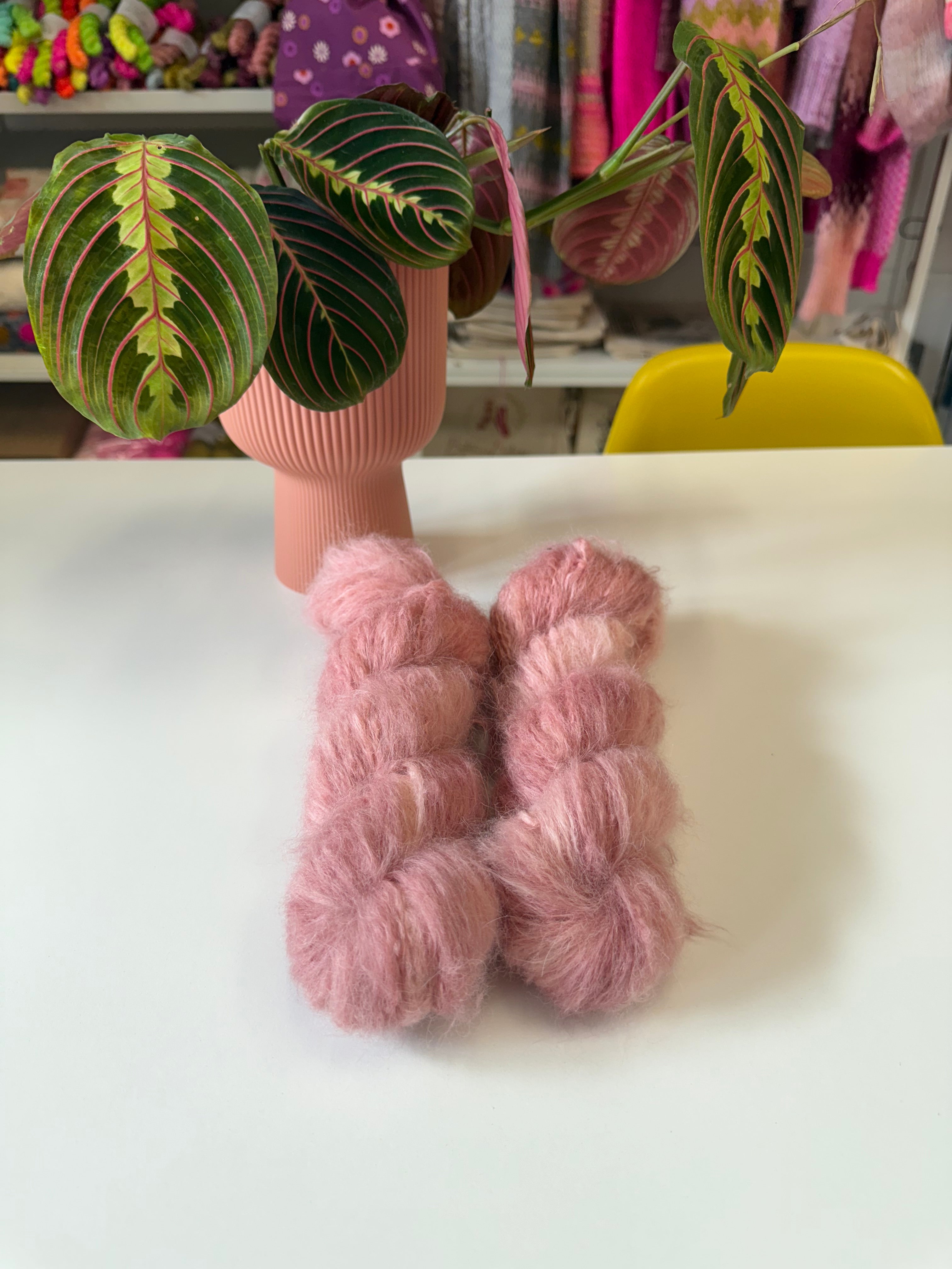 Ready to ship - Hellebore Orientalis