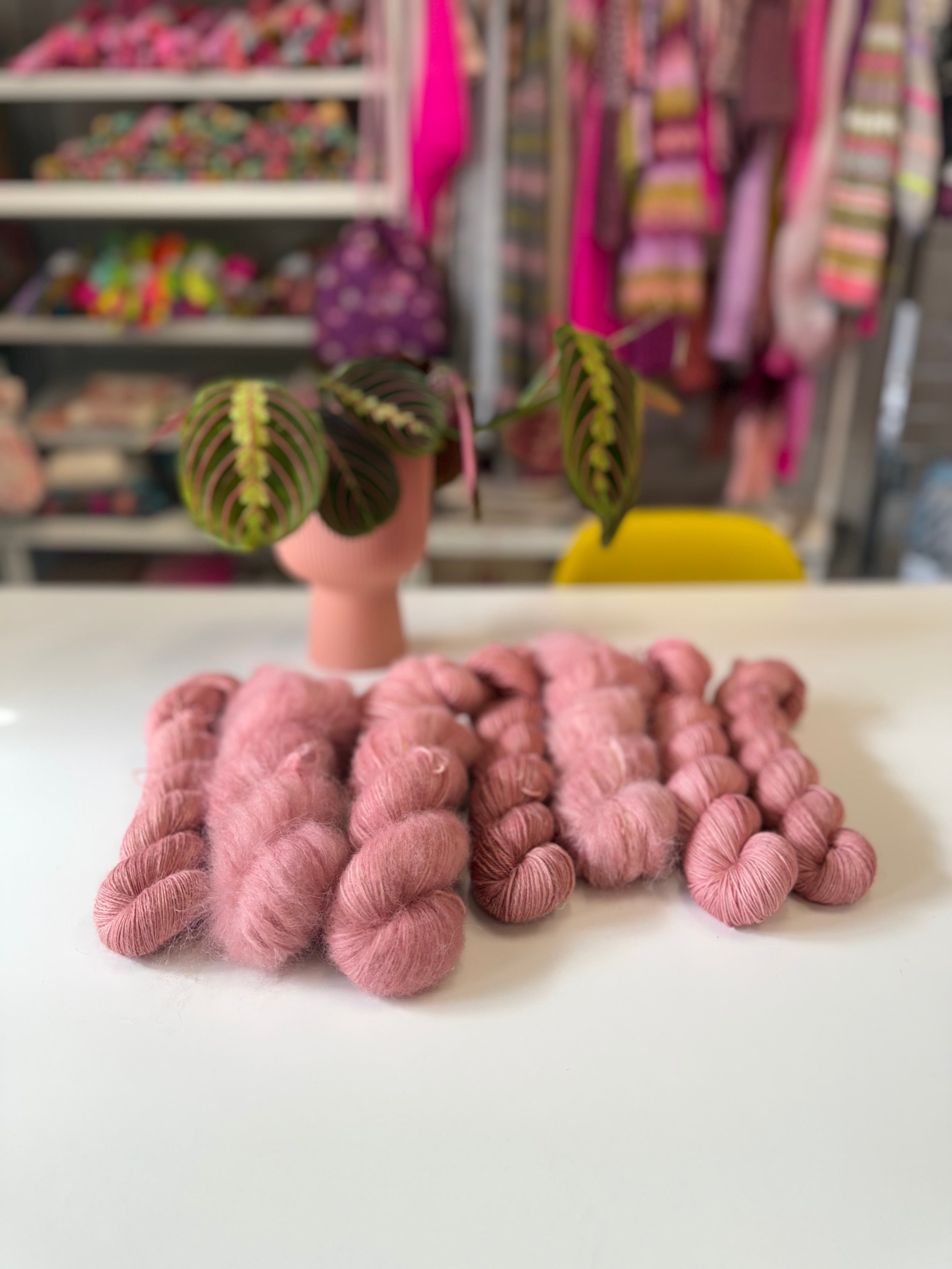 Ready to ship - Hellebore Orientalis