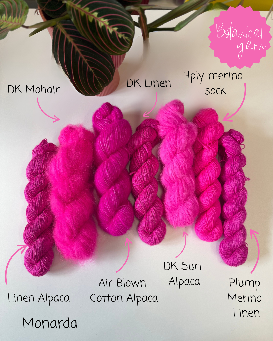 Dyed to order- Monarda