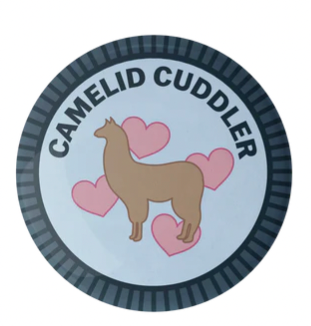 Camp Stitchwood Purl Scout Pin Button Badge (Click for all the variations)